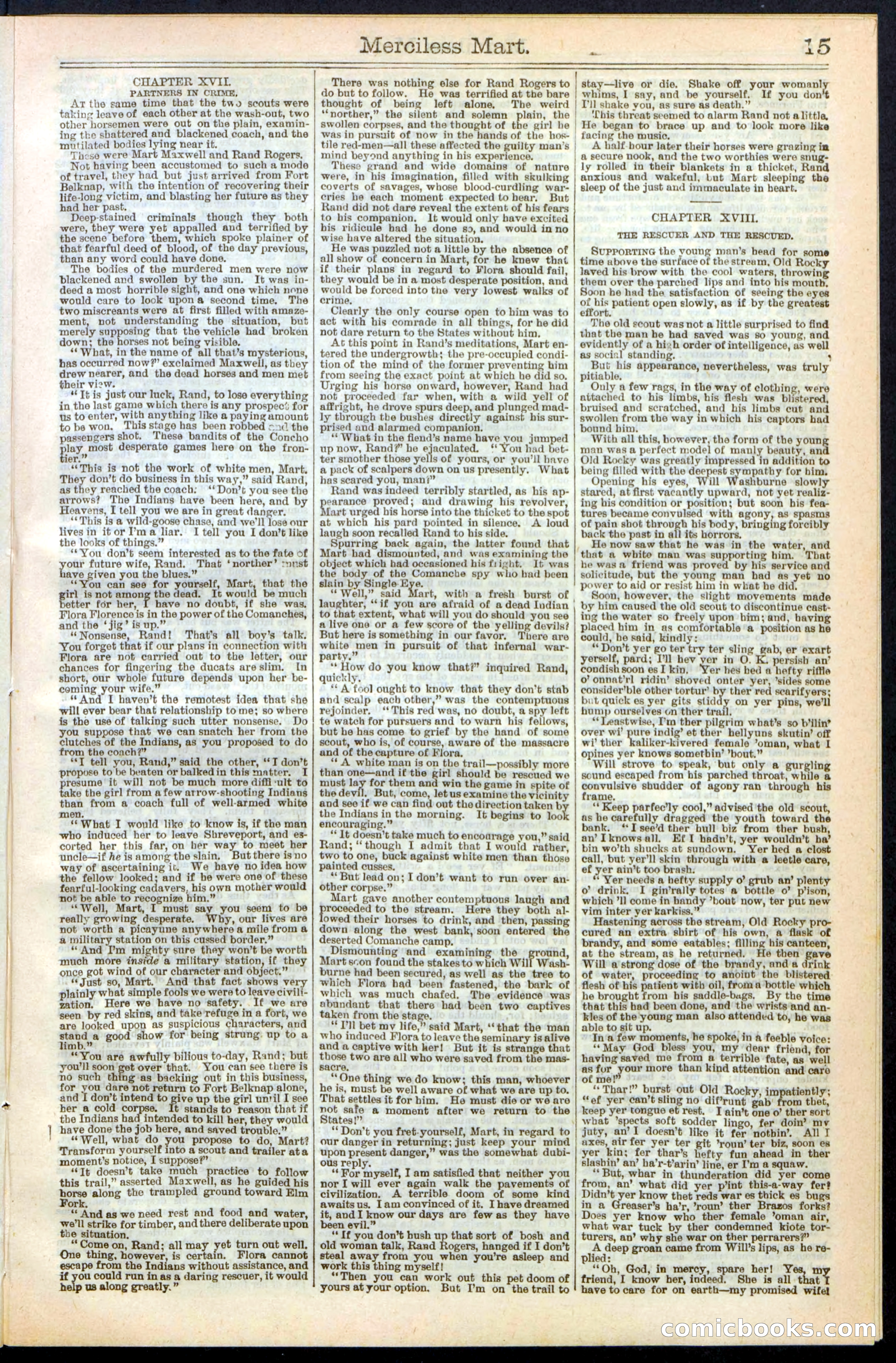 Beadle's New York Dime Library, No. 244 — page 15 of 24