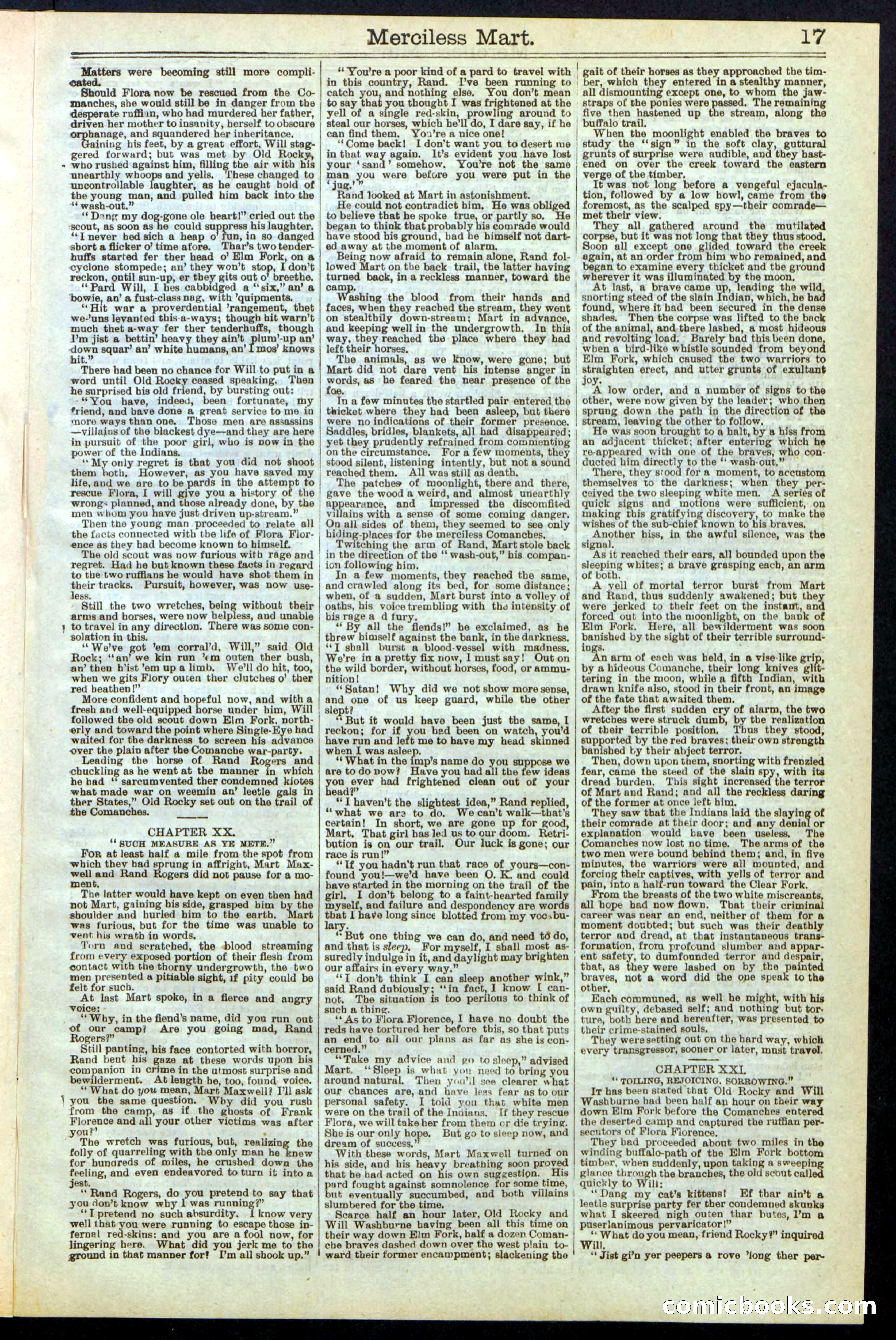 Beadle's New York Dime Library, No. 244 — page 17 of 24