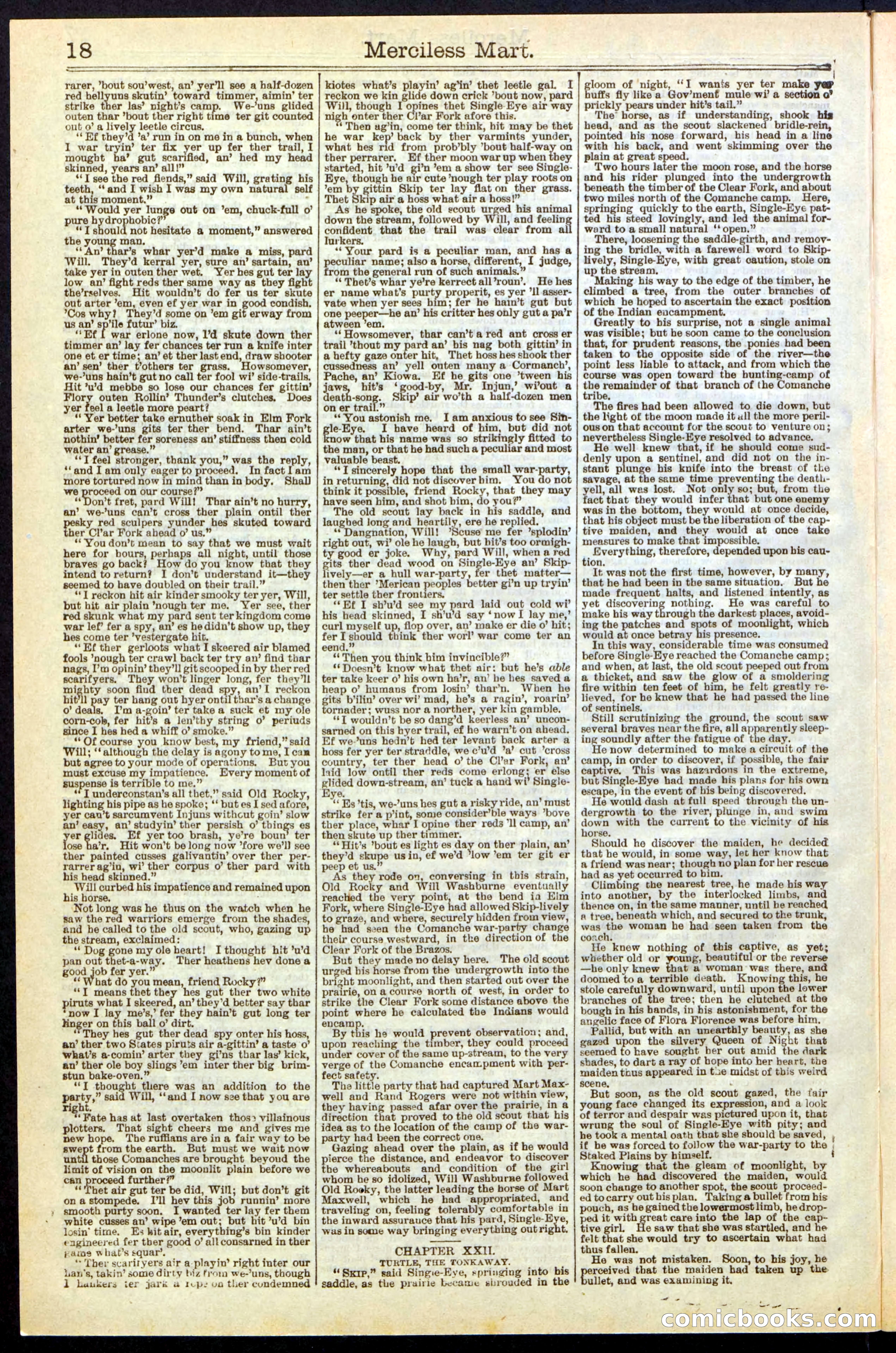 Beadle's New York Dime Library, No. 244 — page 18 of 24