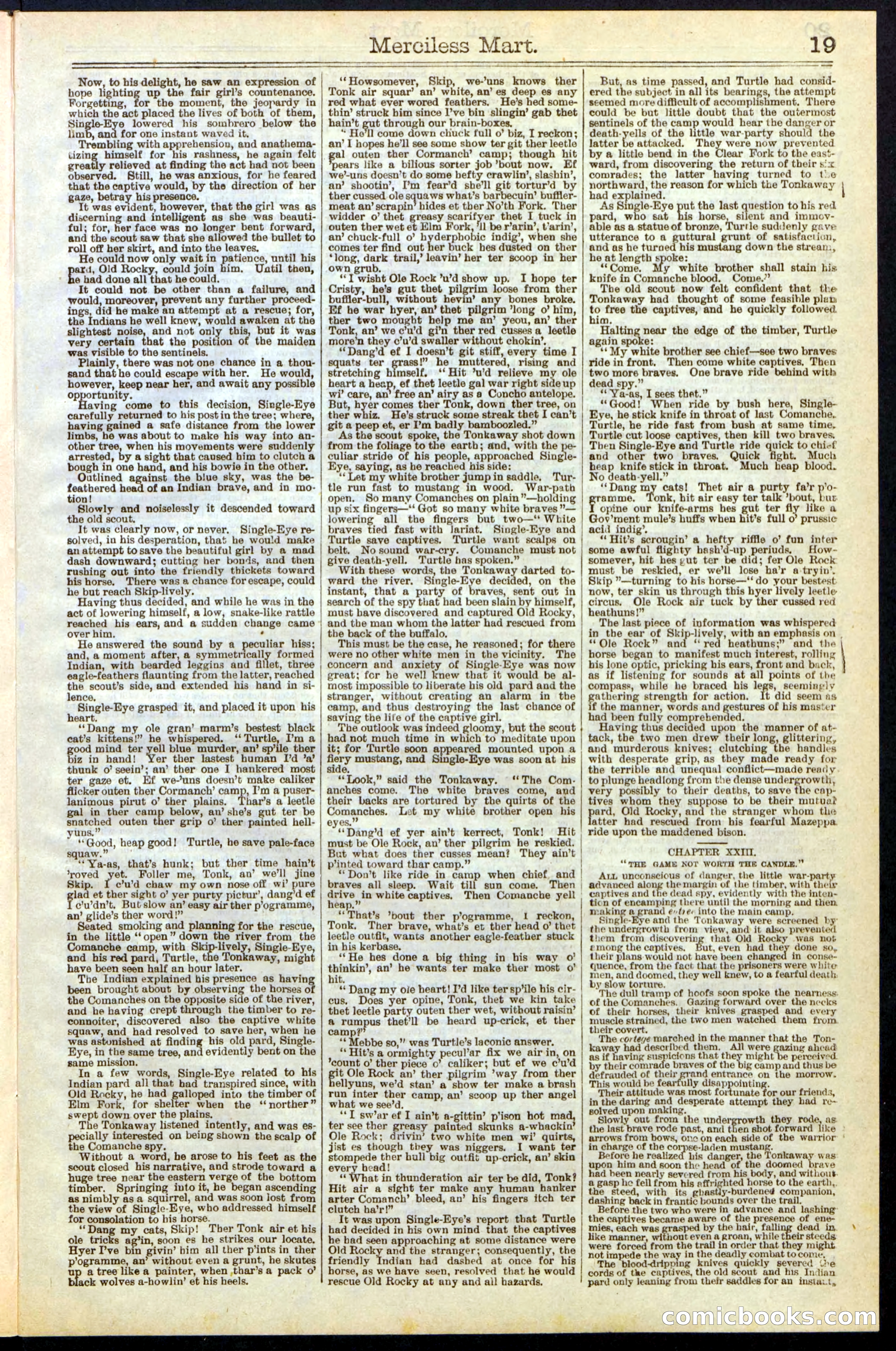 Beadle's New York Dime Library, No. 244 — page 19 of 24