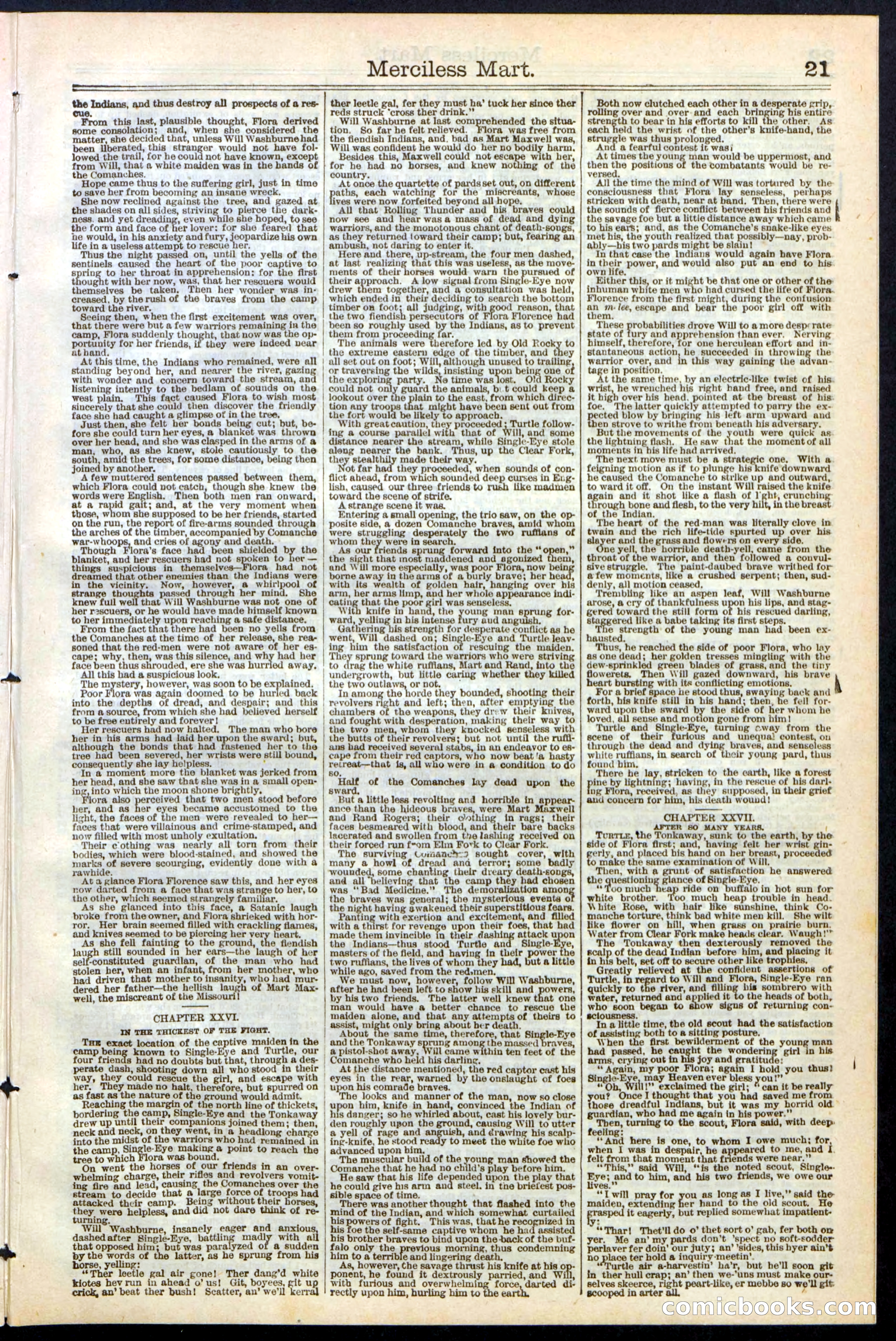 Beadle's New York Dime Library, No. 244 — page 21 of 24