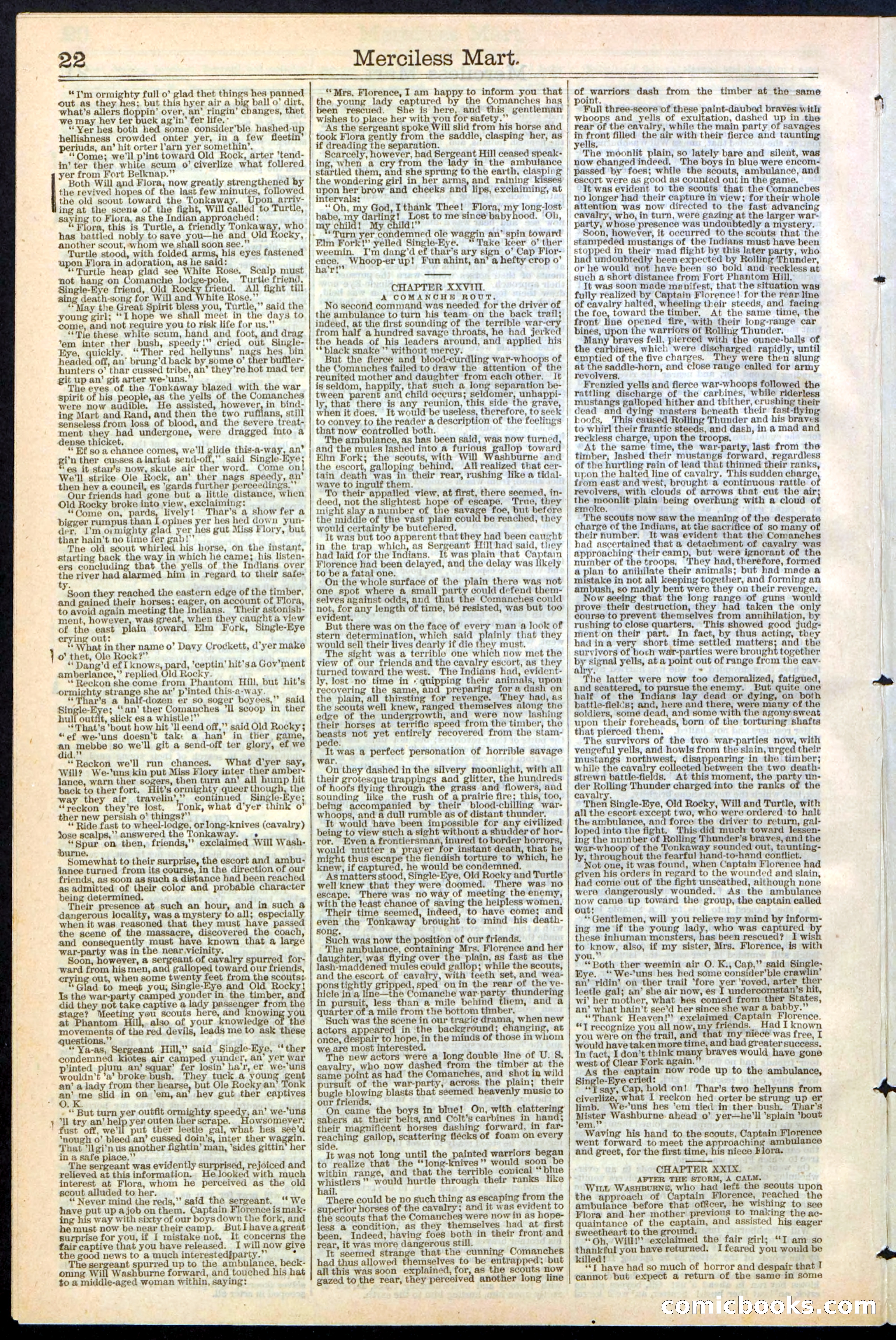 Beadle's New York Dime Library, No. 244 — page 22 of 24