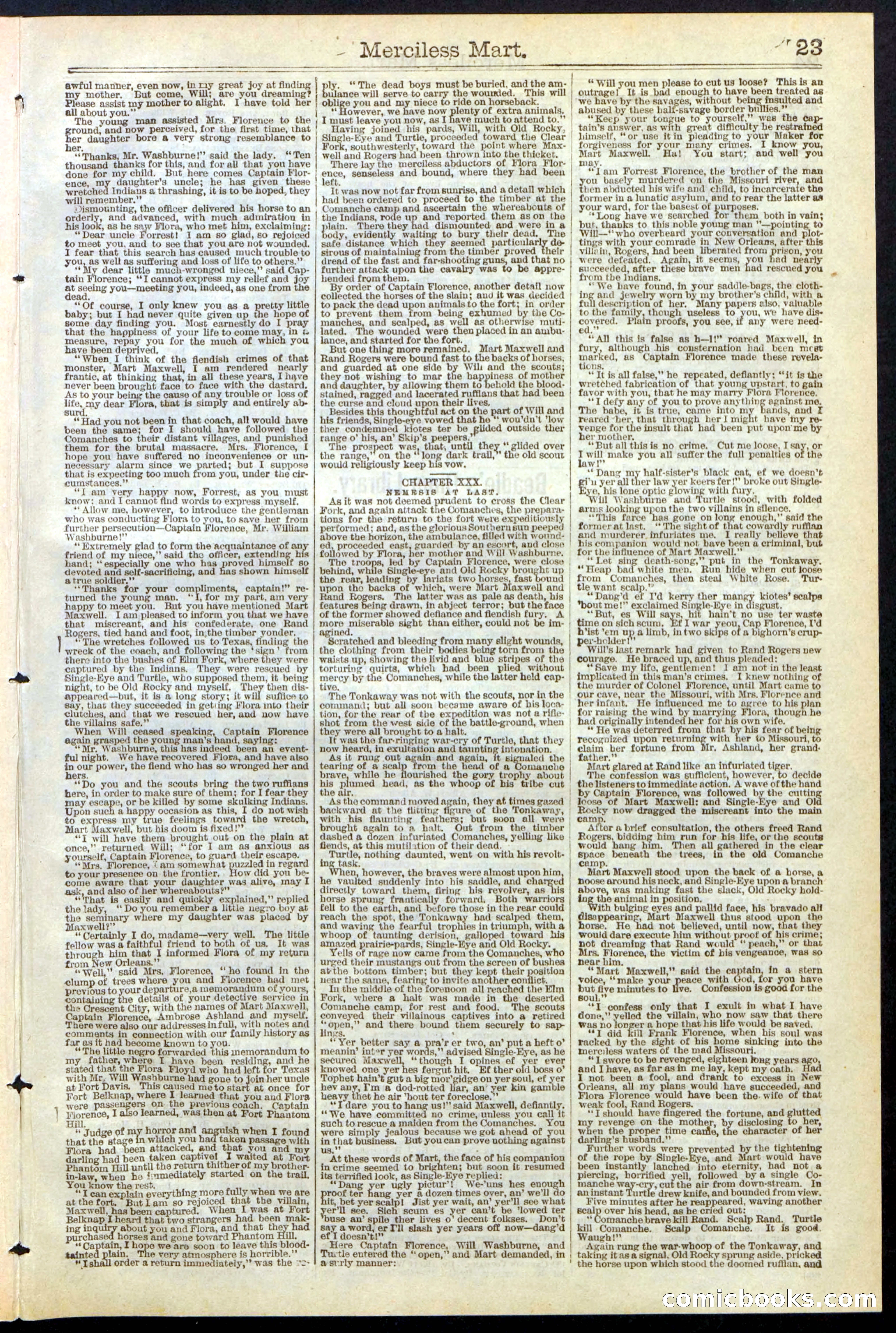 Beadle's New York Dime Library, No. 244 — page 23 of 24