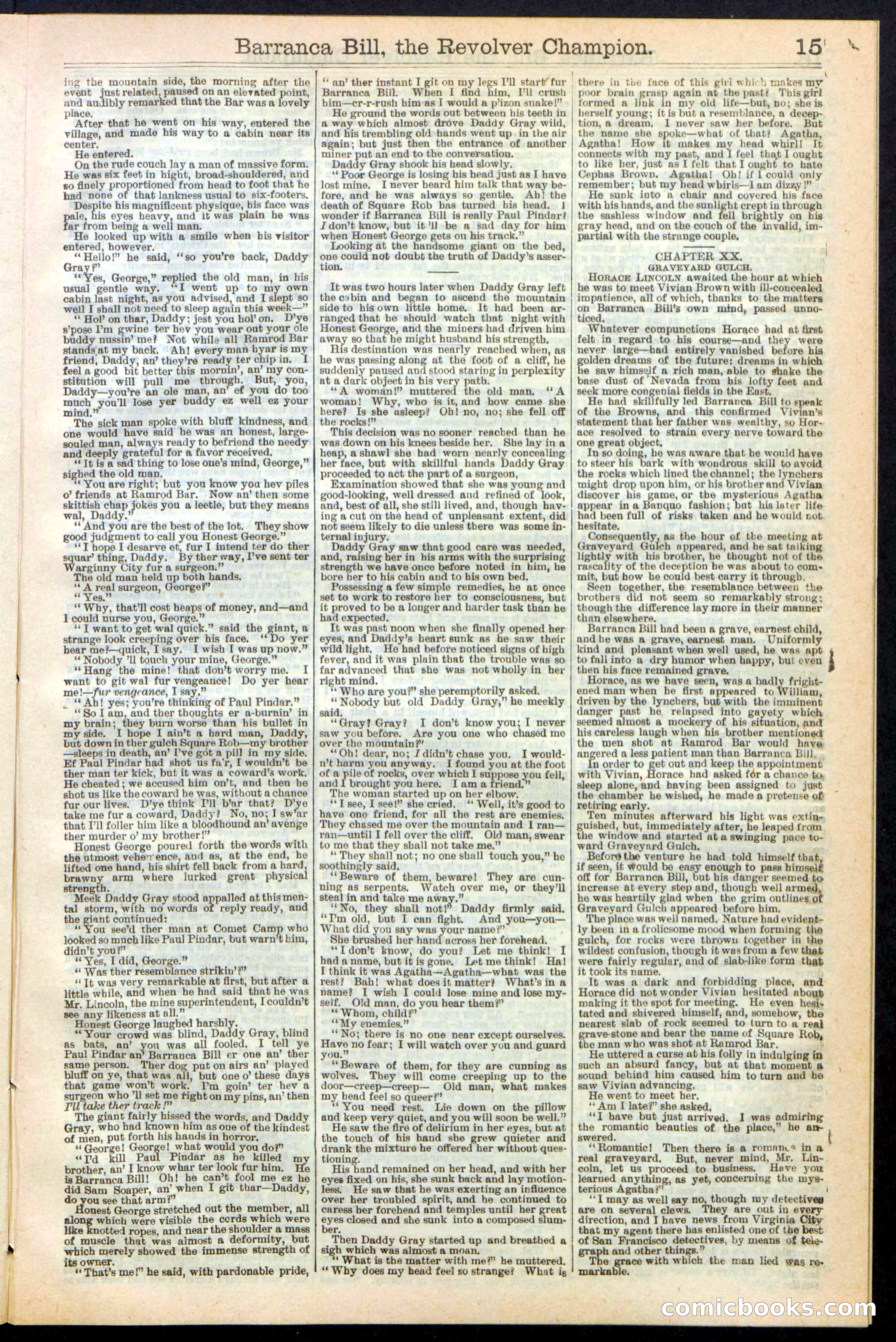 Beadle's New York Dime Library No. 245 — page 15 of 32