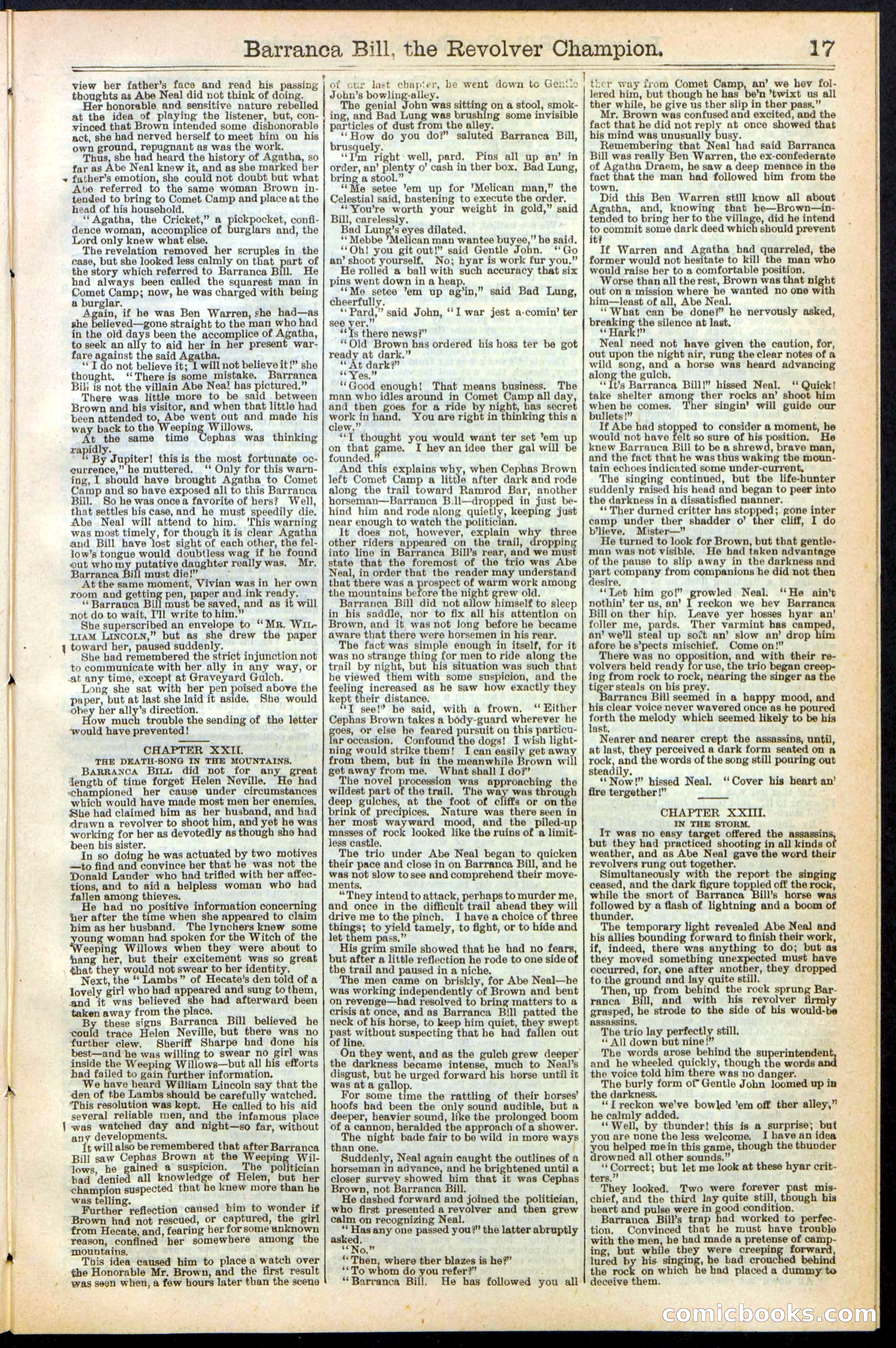 Beadle's New York Dime Library No. 245 — page 17 of 32