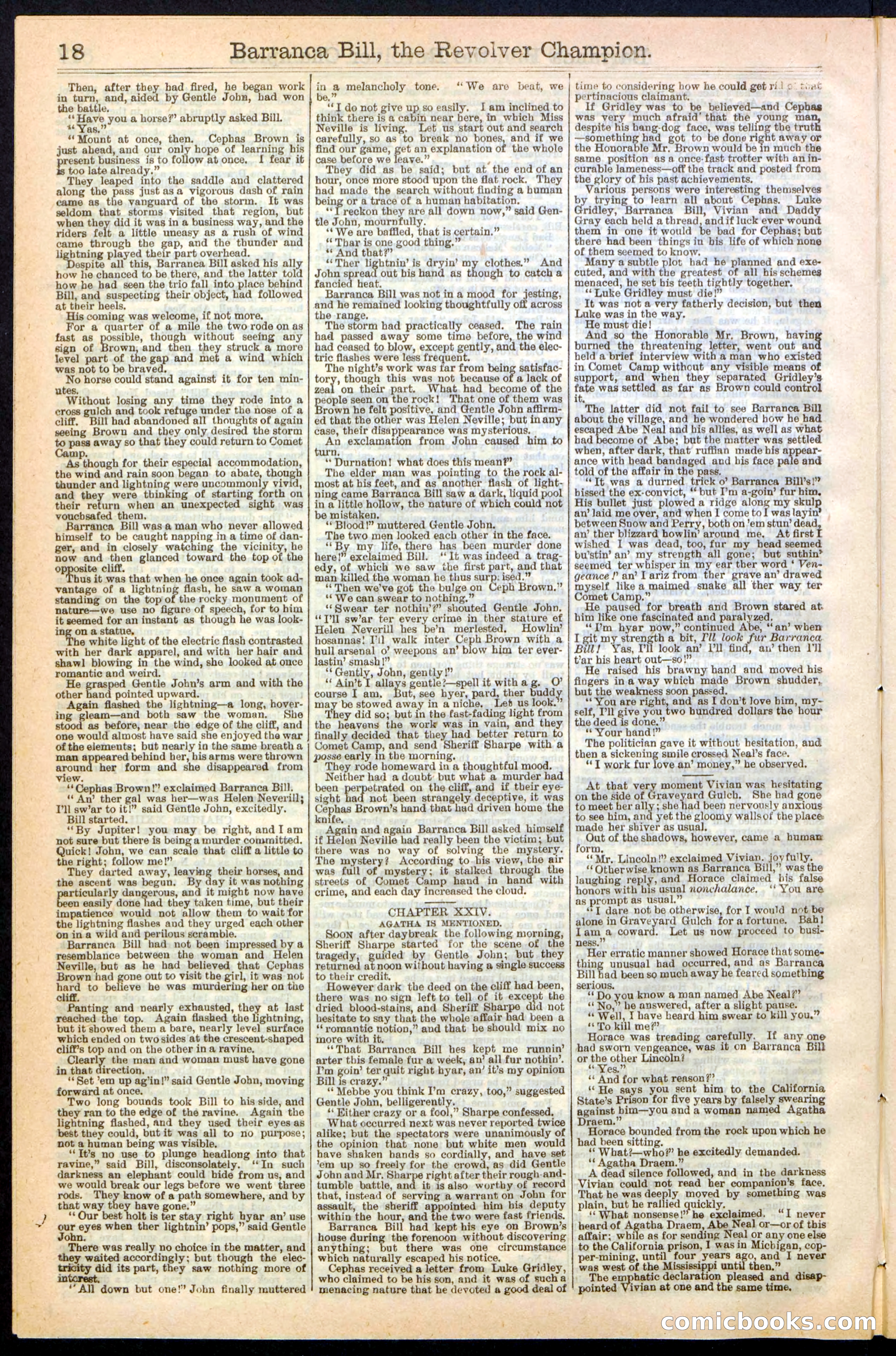 Beadle's New York Dime Library No. 245 — page 18 of 32