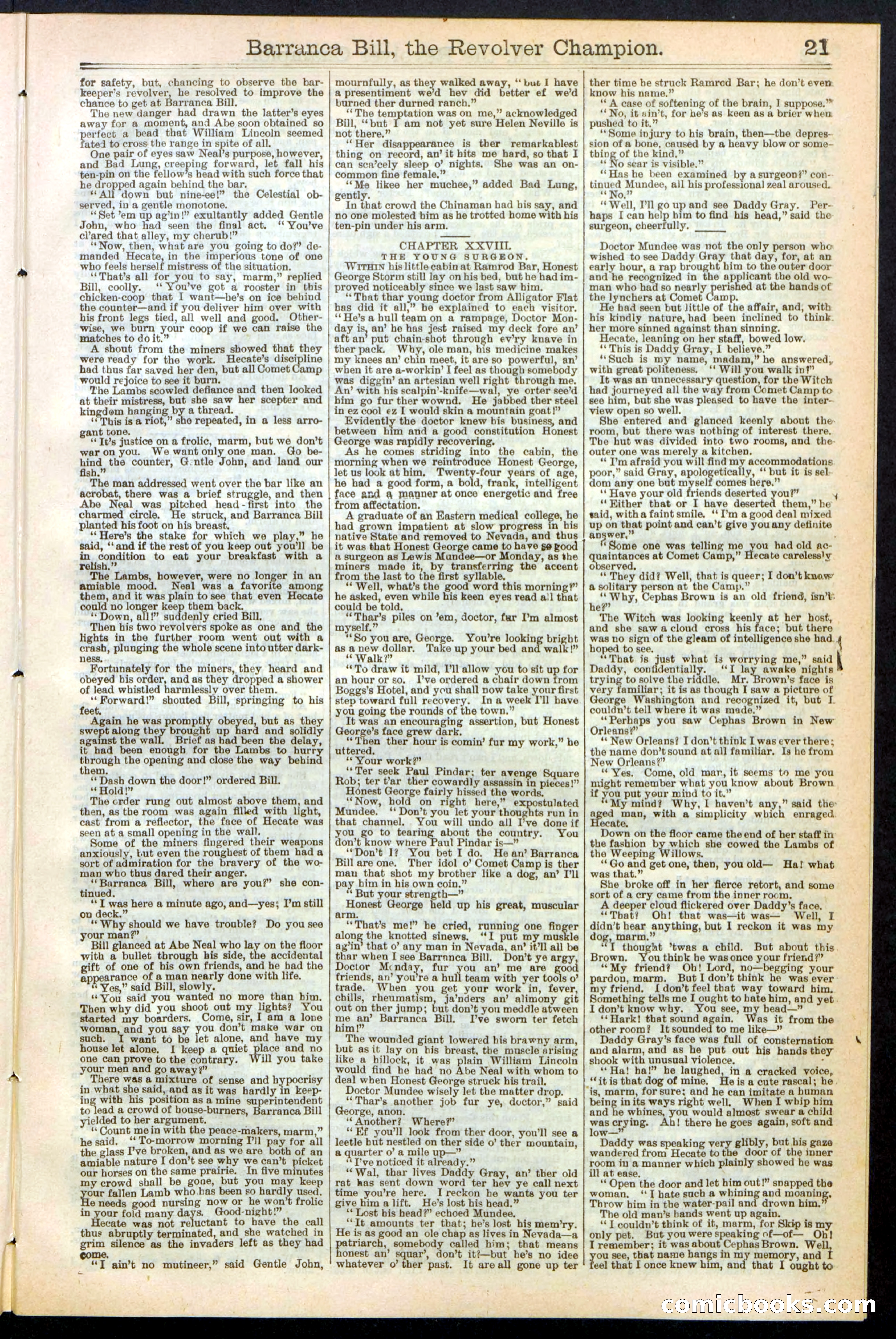 Beadle's New York Dime Library No. 245 — page 21 of 32