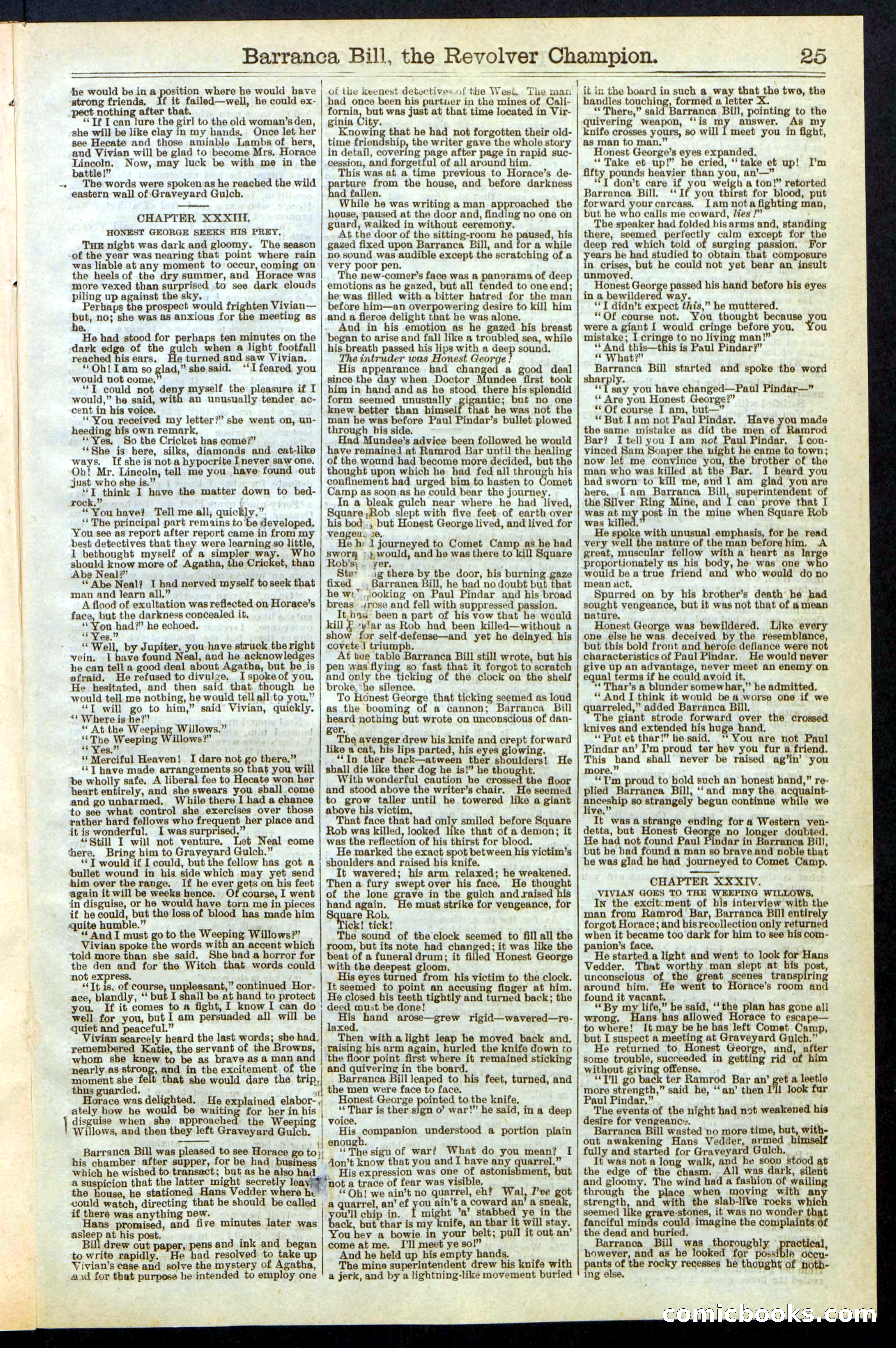 Beadle's New York Dime Library No. 245 — page 25 of 32