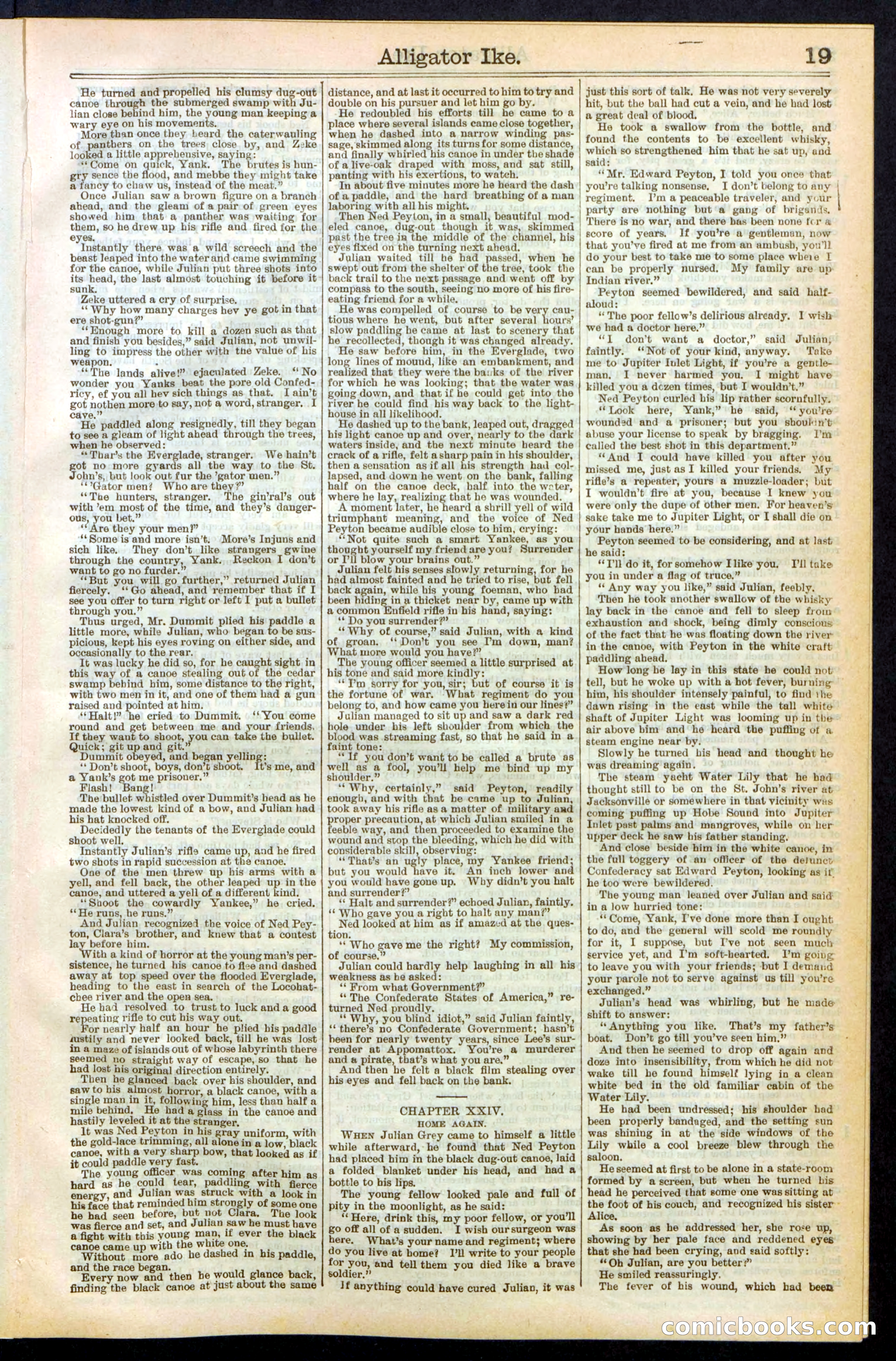 Beadle's Dime Library No. 247 — page 19 of 32