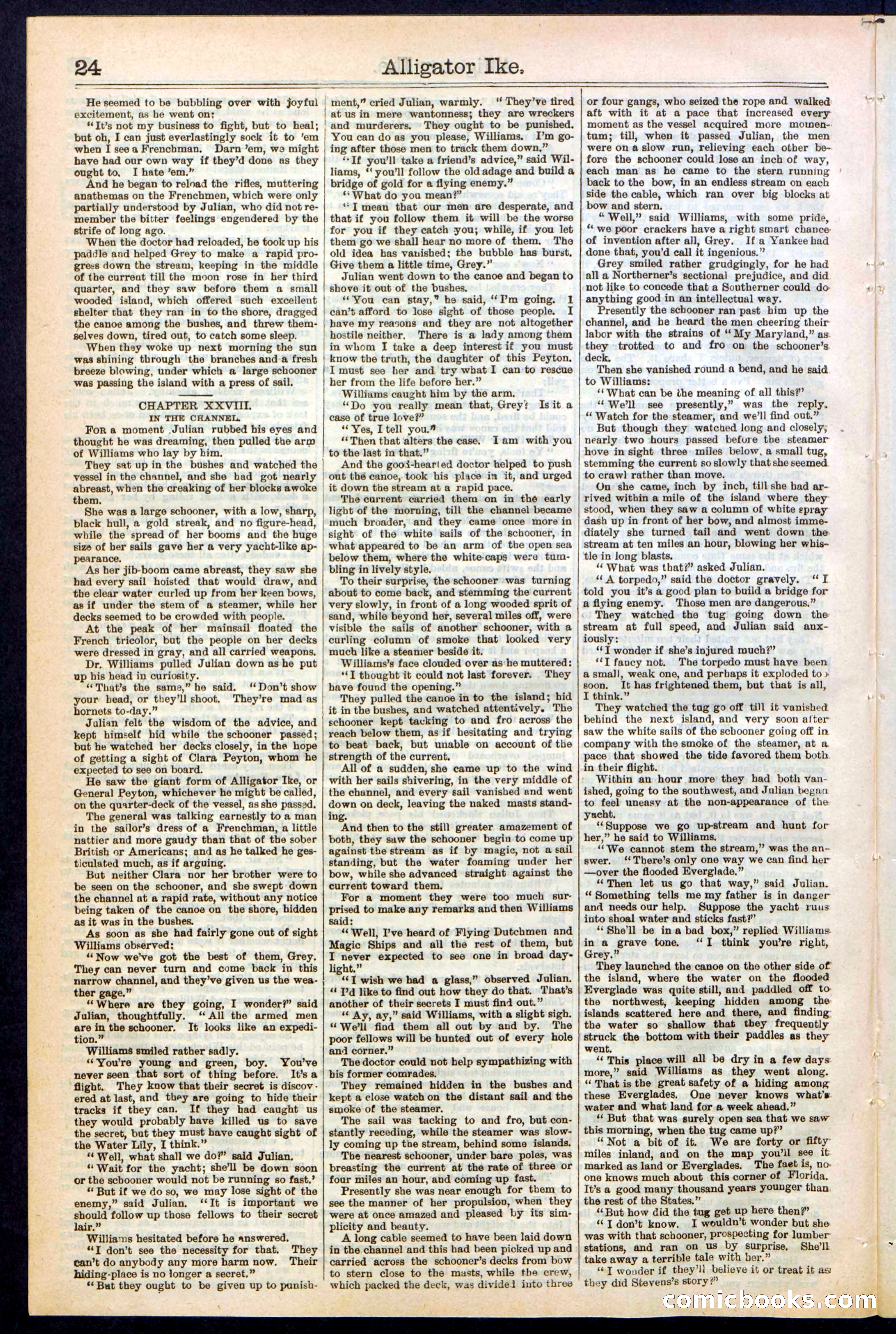 Beadle's Dime Library No. 247 — page 24 of 32