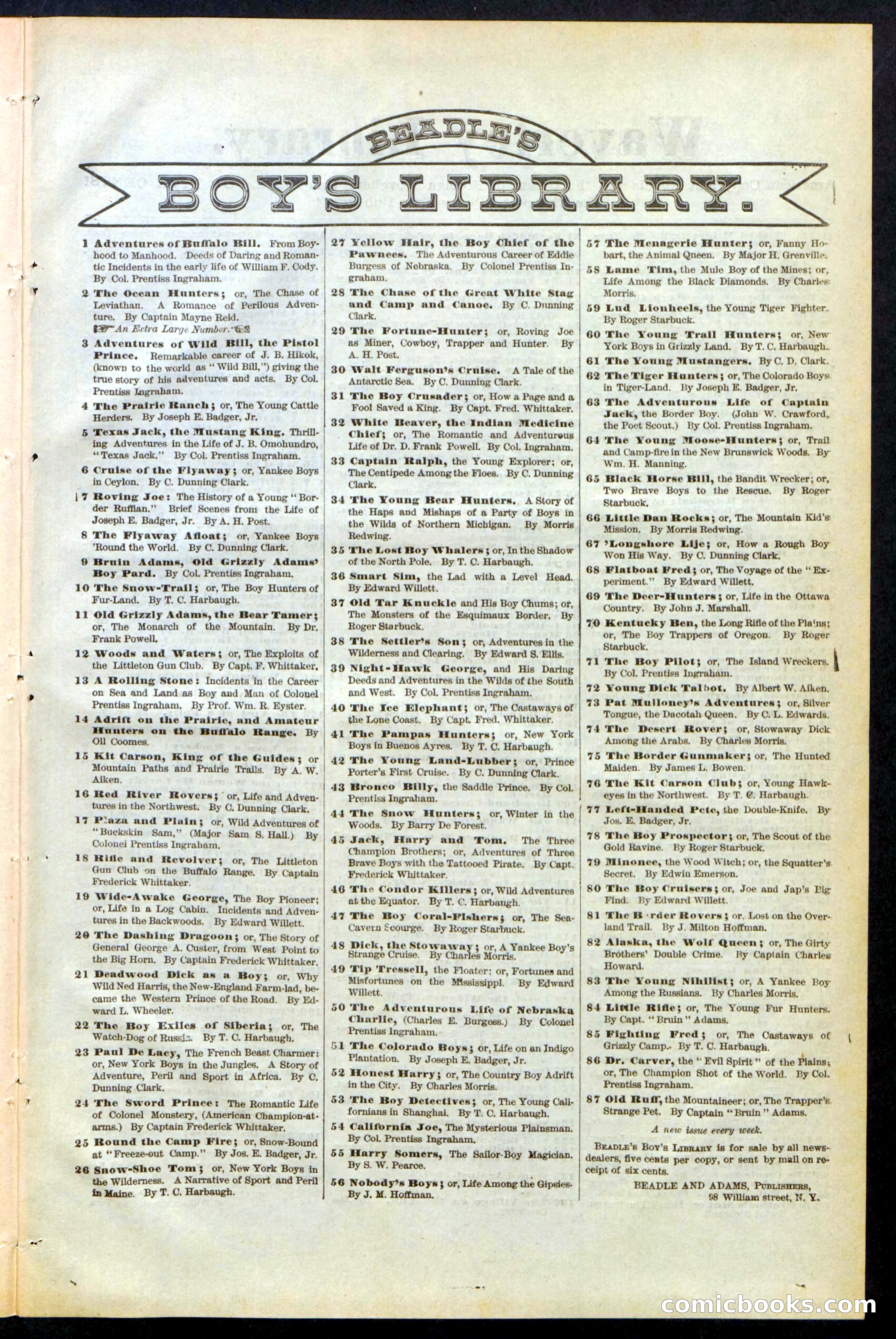 Beadle's Dime Library No. 247 — page 29 of 32