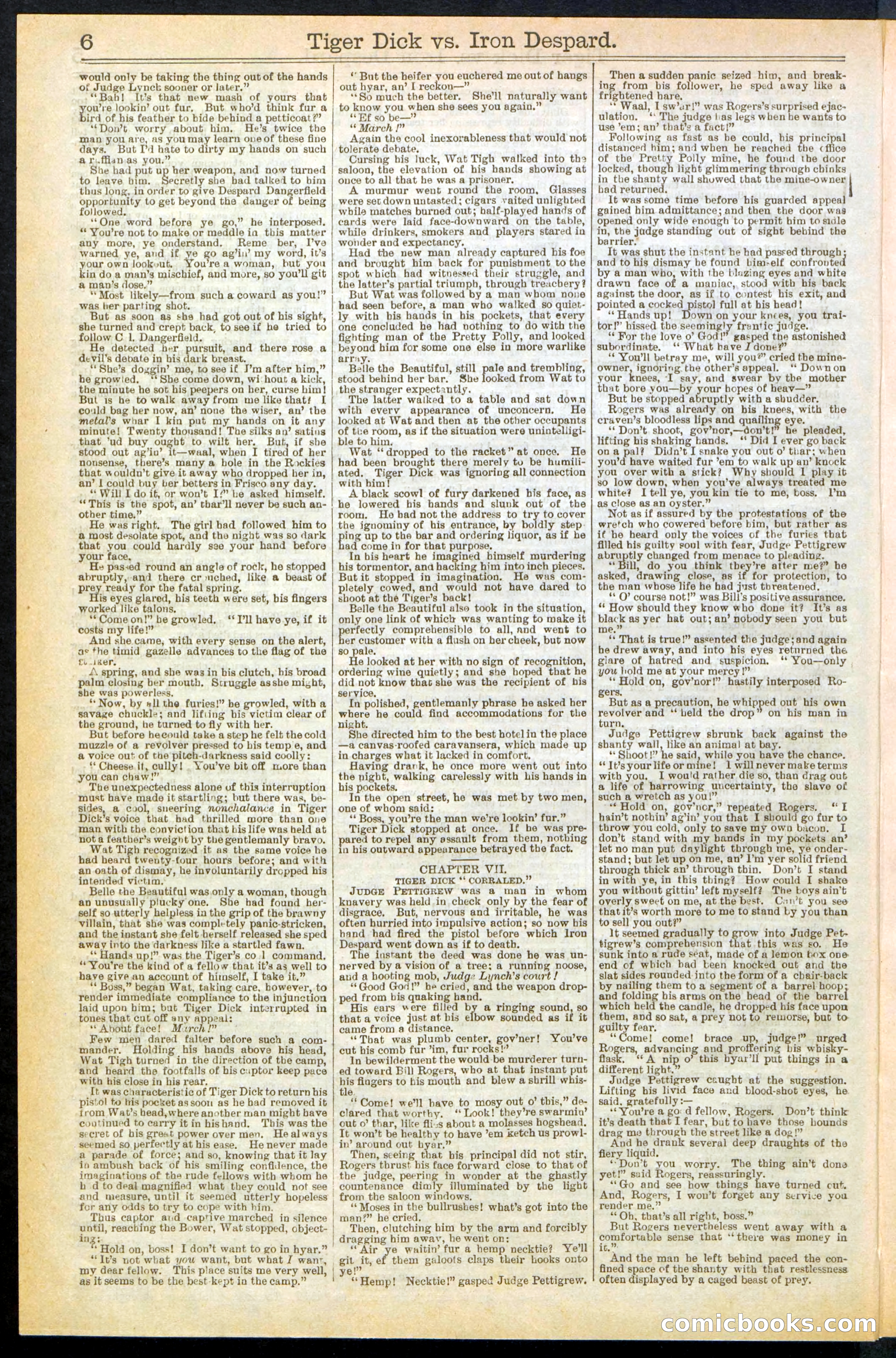 Beadle's Dime Library, Vol. XX, No. 251 — page 6 of 32