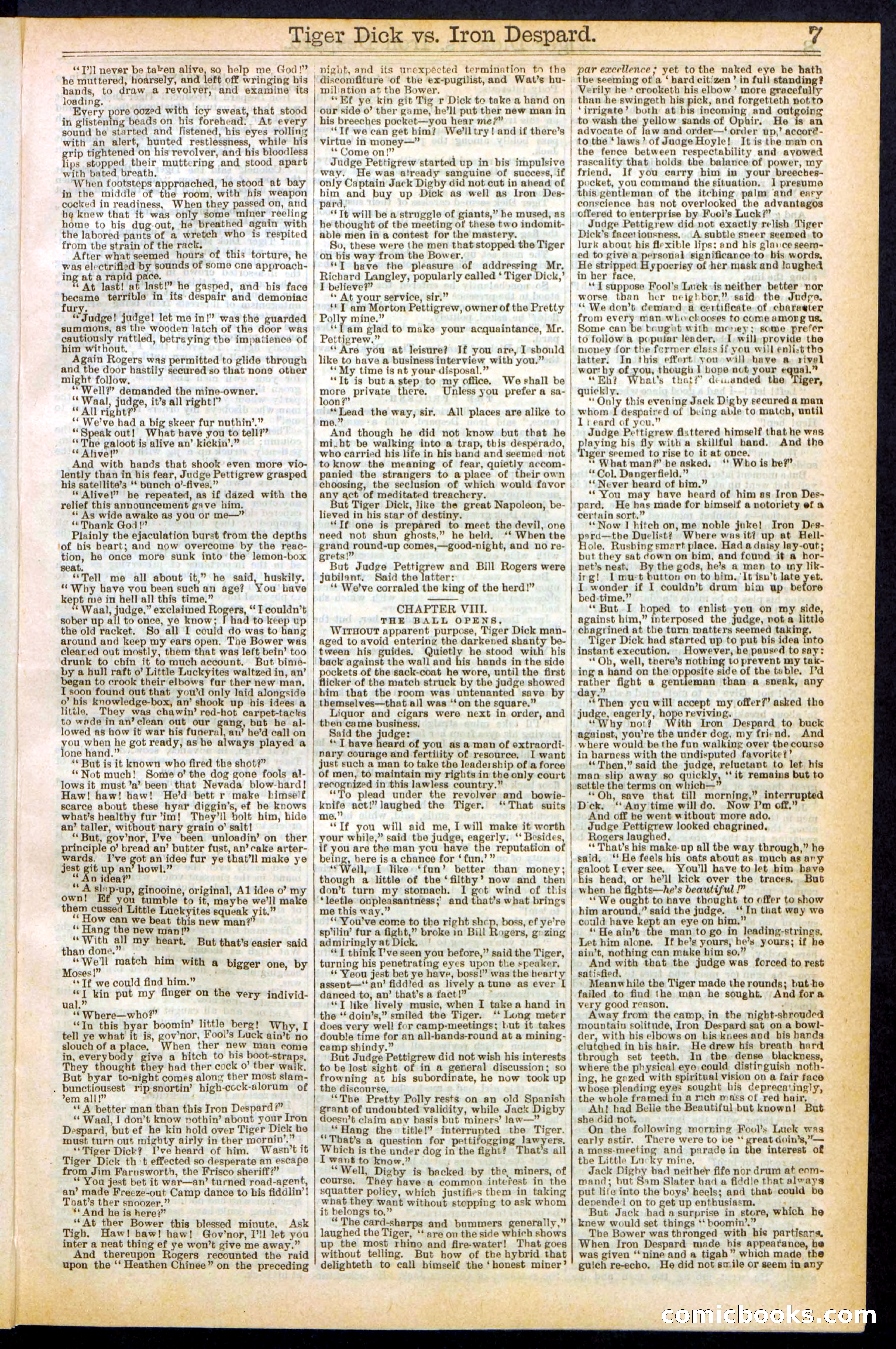 Beadle's Dime Library, Vol. XX, No. 251 — page 7 of 32