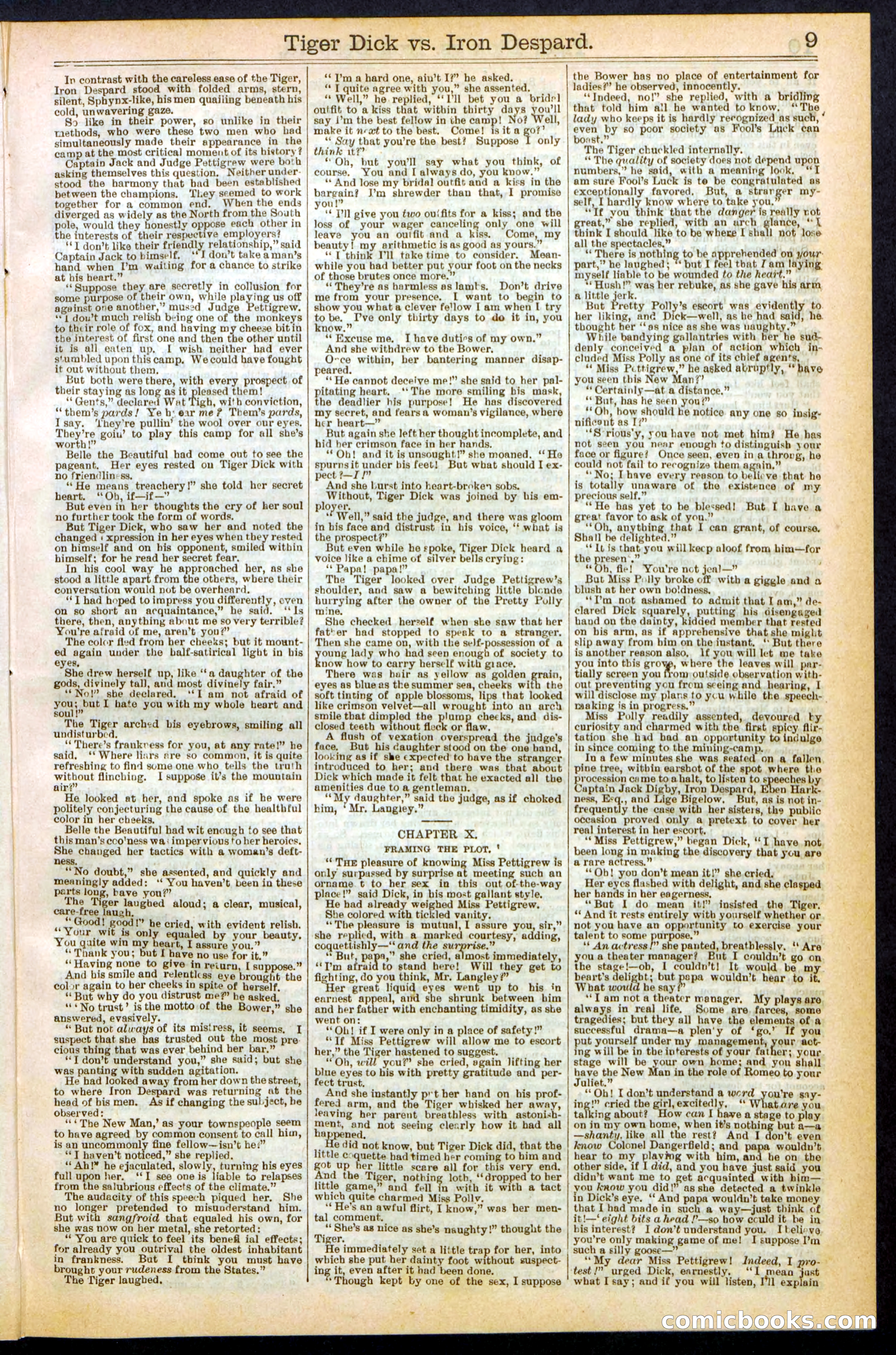 Beadle's Dime Library, Vol. XX, No. 251 — page 9 of 32