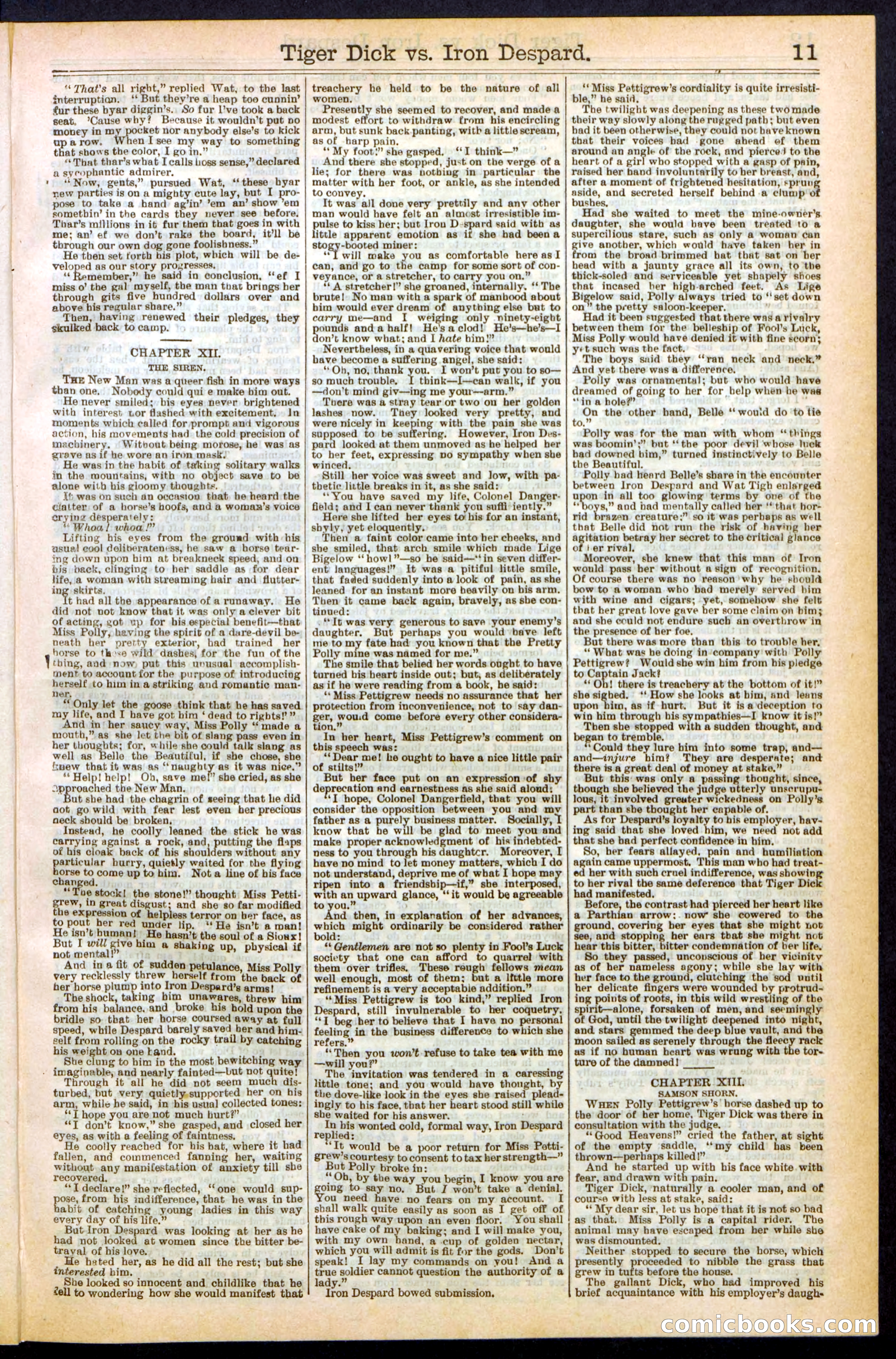Beadle's Dime Library, Vol. XX, No. 251 — page 11 of 32