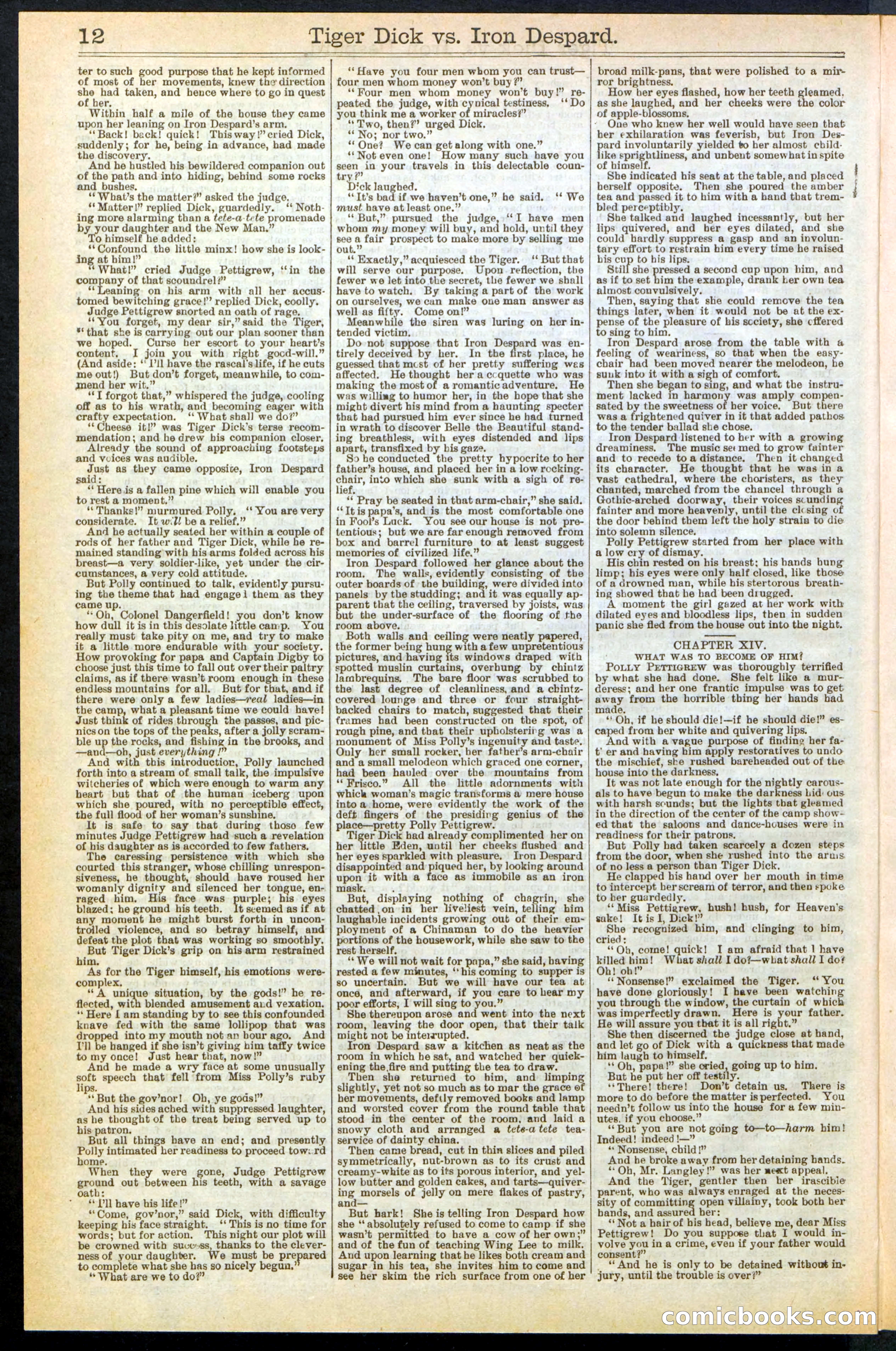 Beadle's Dime Library, Vol. XX, No. 251 — page 12 of 32
