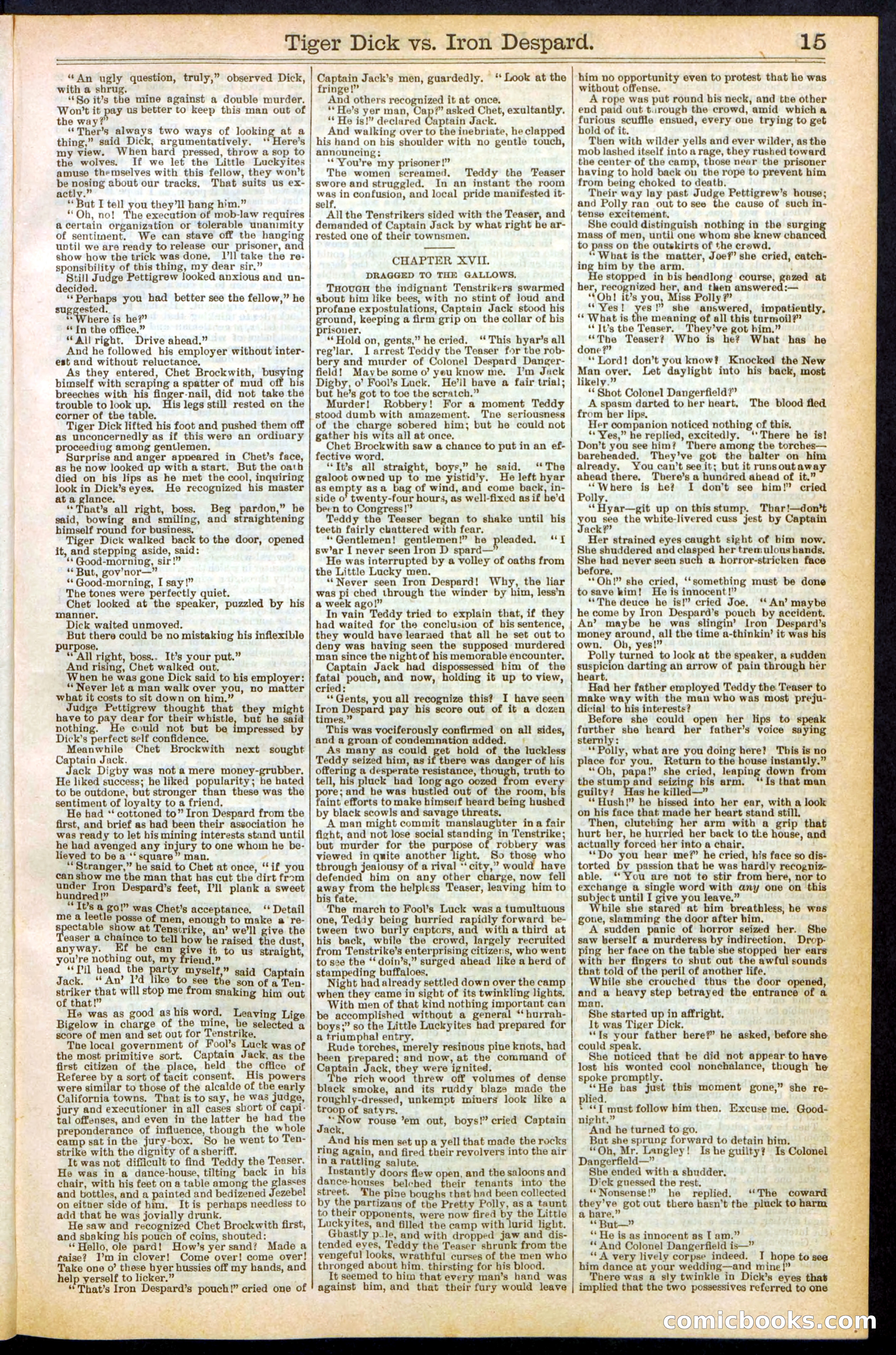 Beadle's Dime Library, Vol. XX, No. 251 — page 15 of 32
