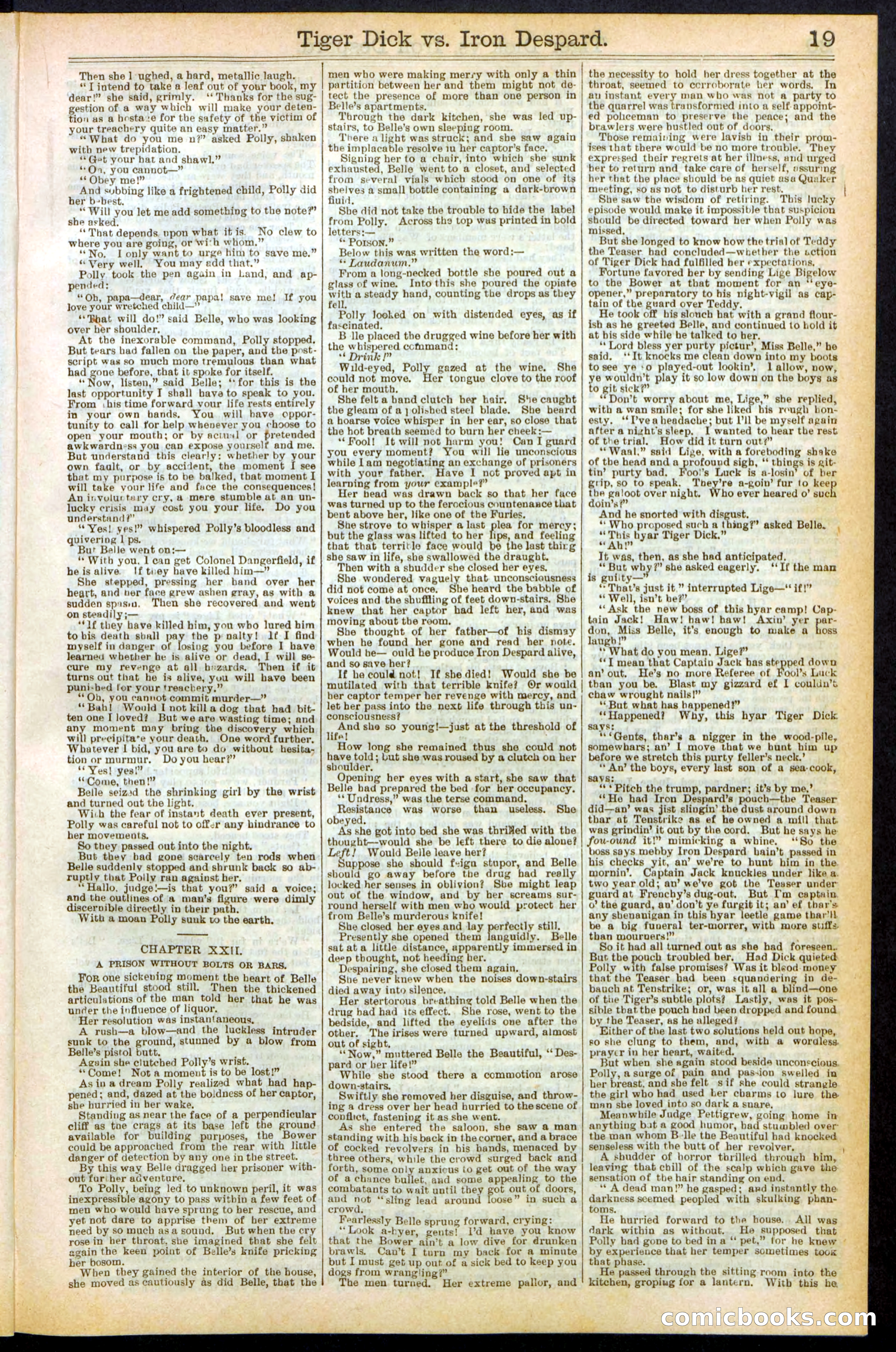 Beadle's Dime Library, Vol. XX, No. 251 — page 19 of 32