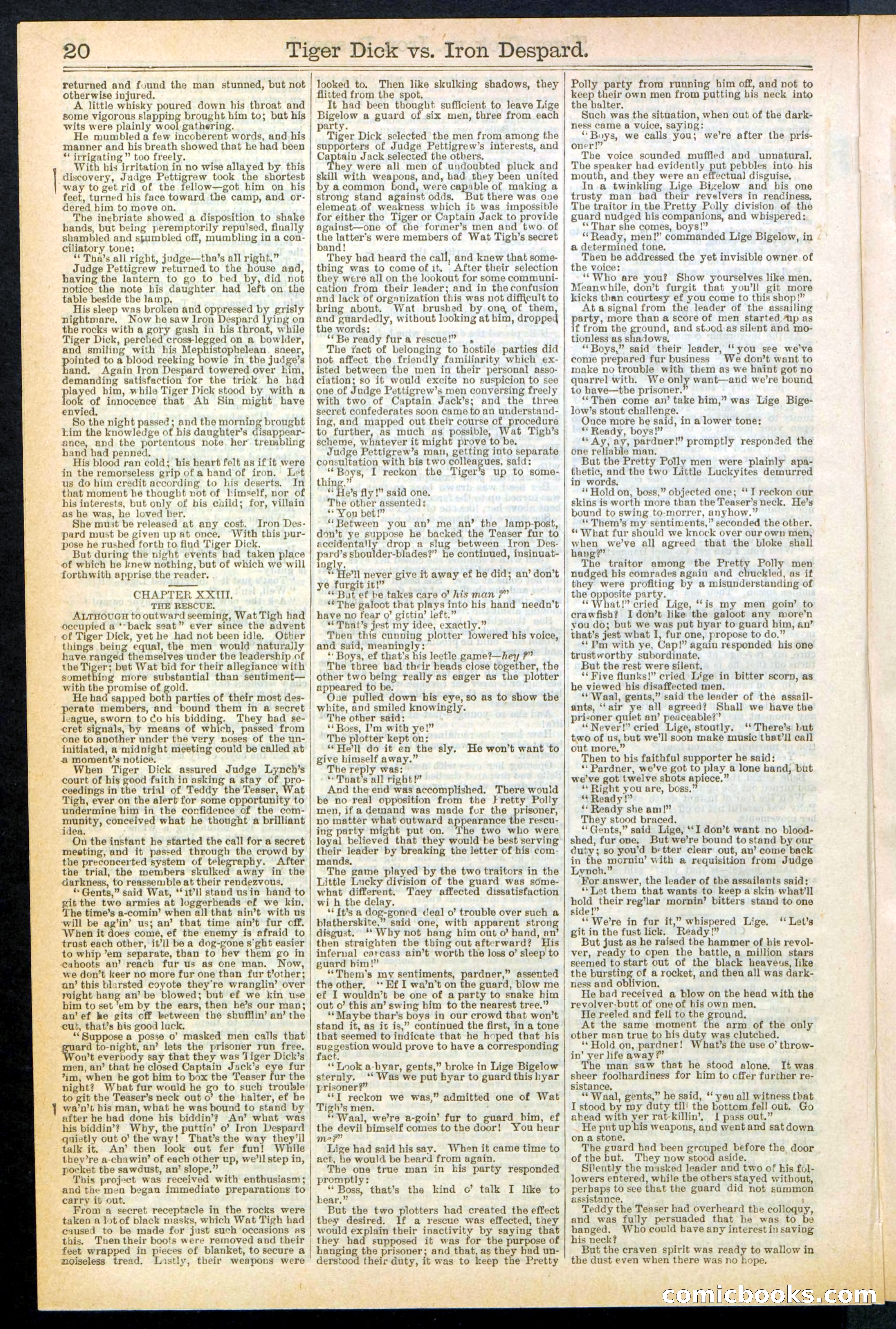 Beadle's Dime Library, Vol. XX, No. 251 — page 20 of 32