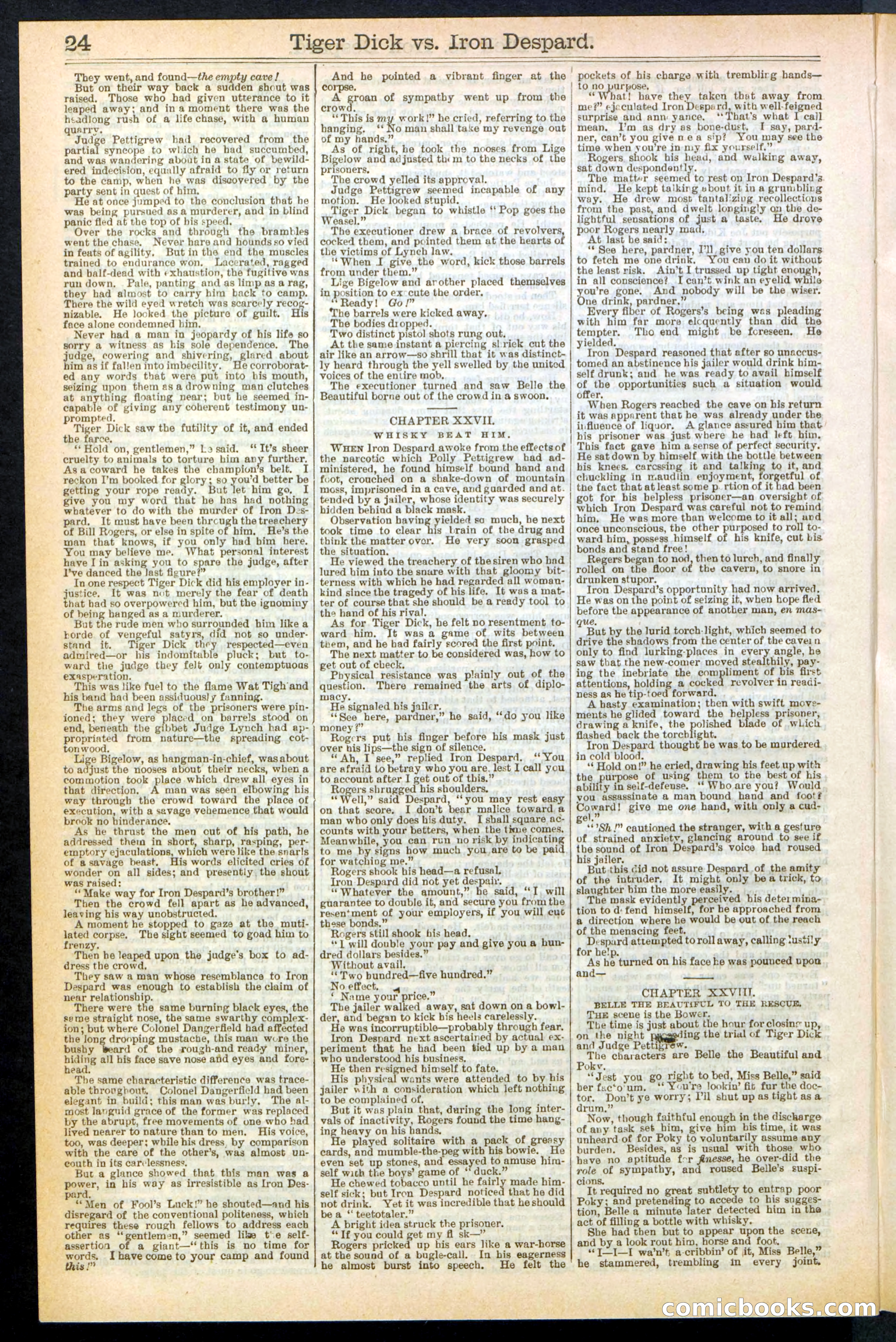 Beadle's Dime Library, Vol. XX, No. 251 — page 24 of 32