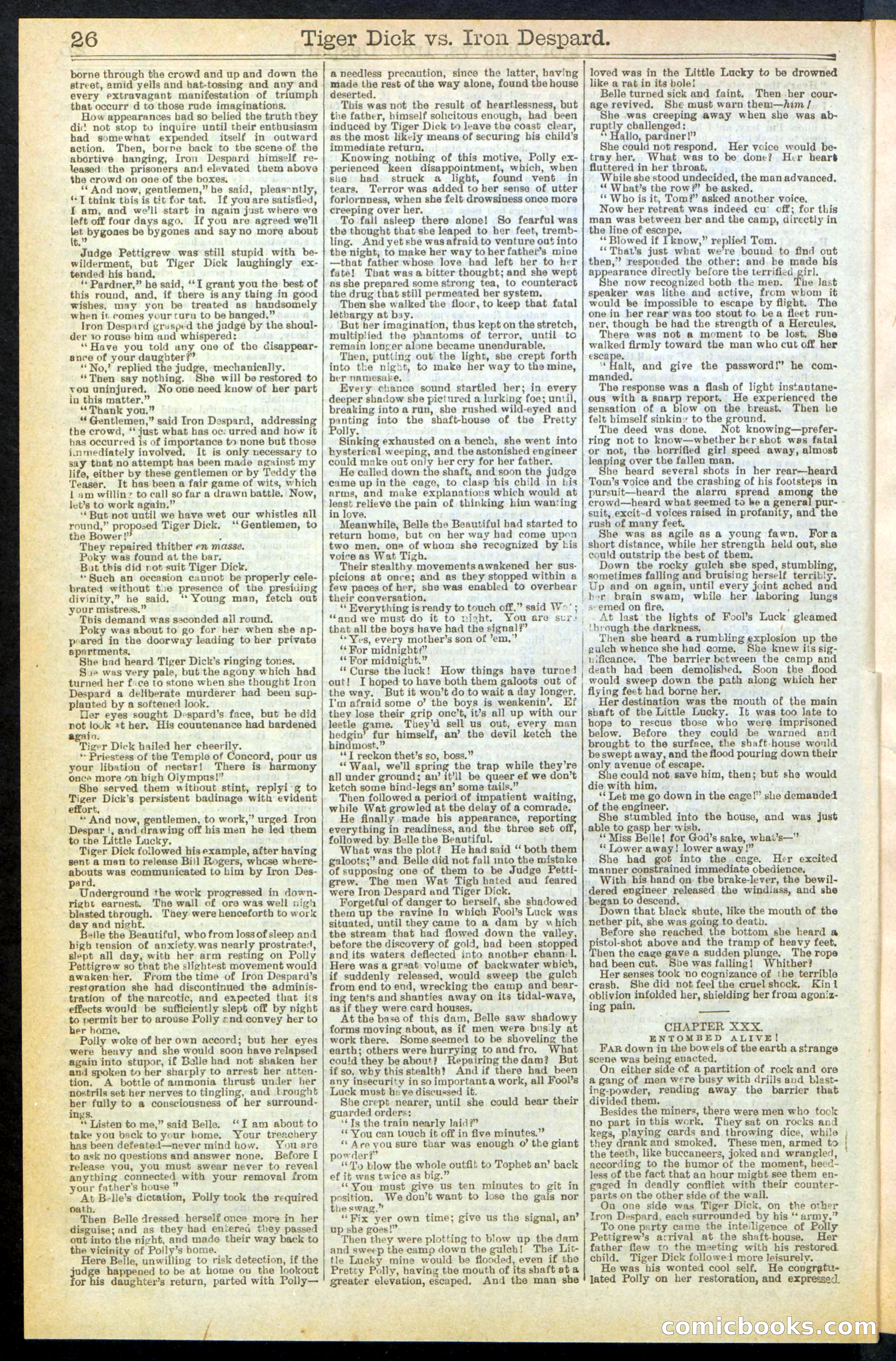 Beadle's Dime Library, Vol. XX, No. 251 — page 26 of 32