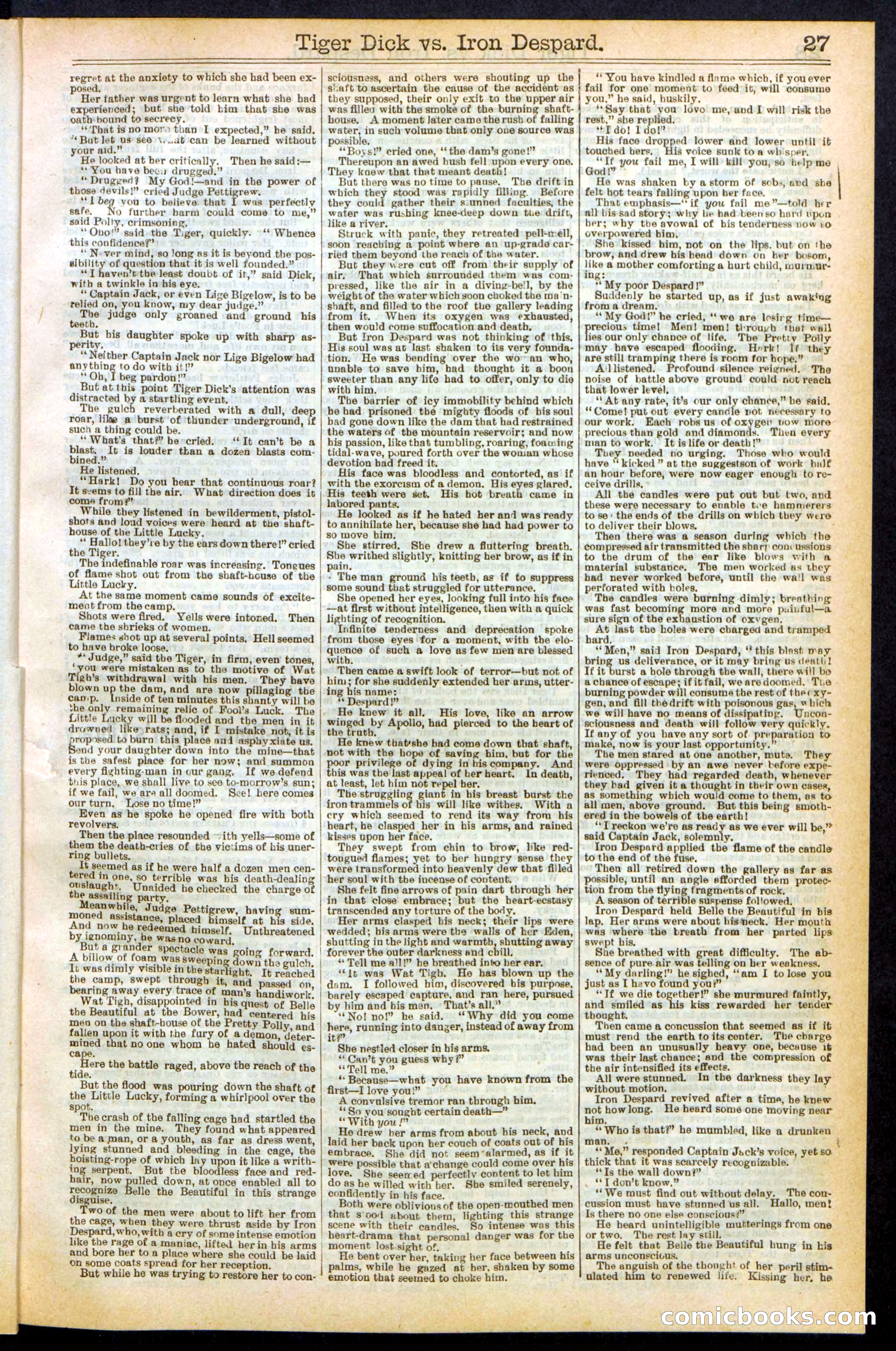 Beadle's Dime Library, Vol. XX, No. 251 — page 27 of 32