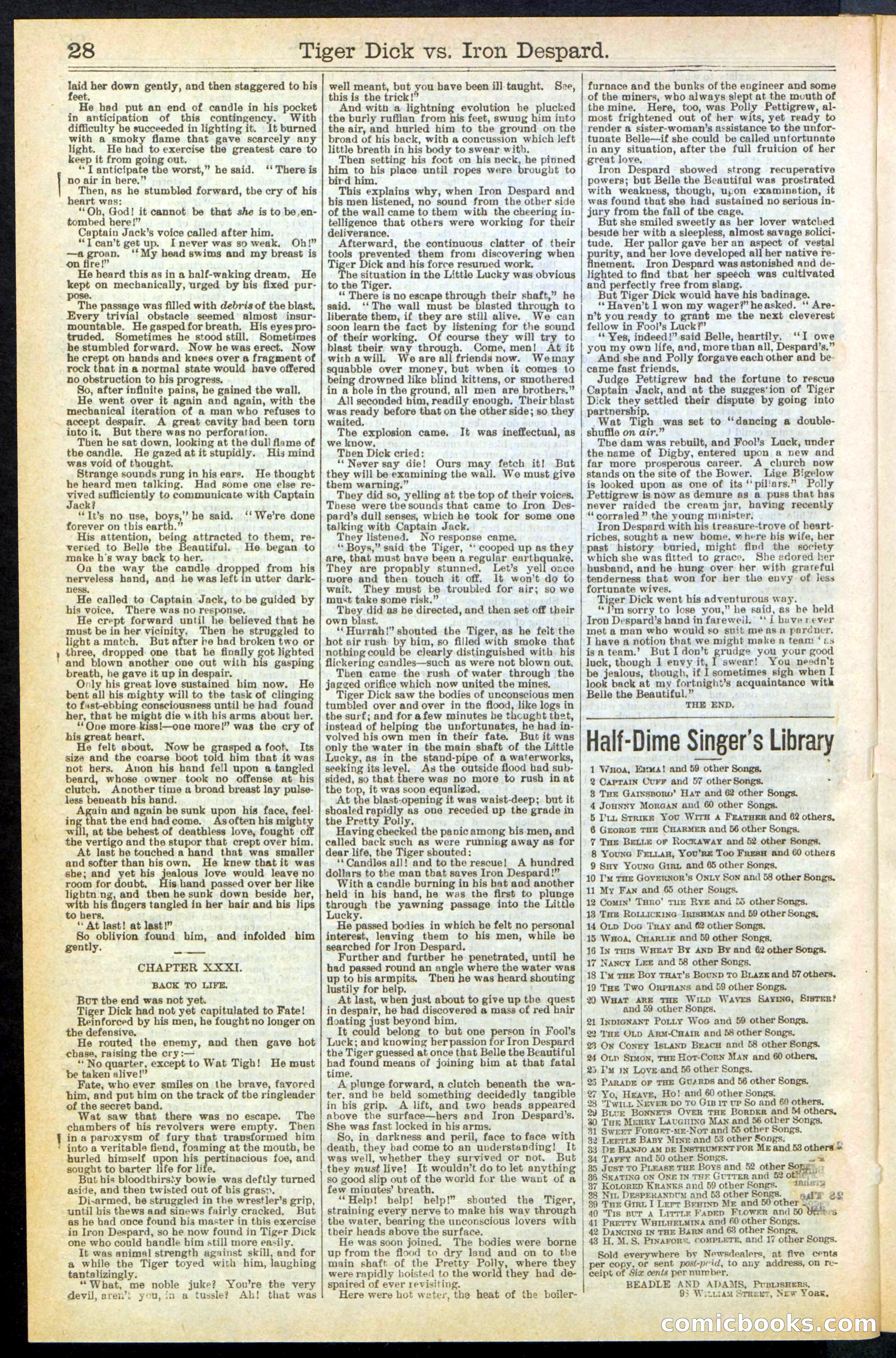 Beadle's Dime Library, Vol. XX, No. 251 — page 28 of 32