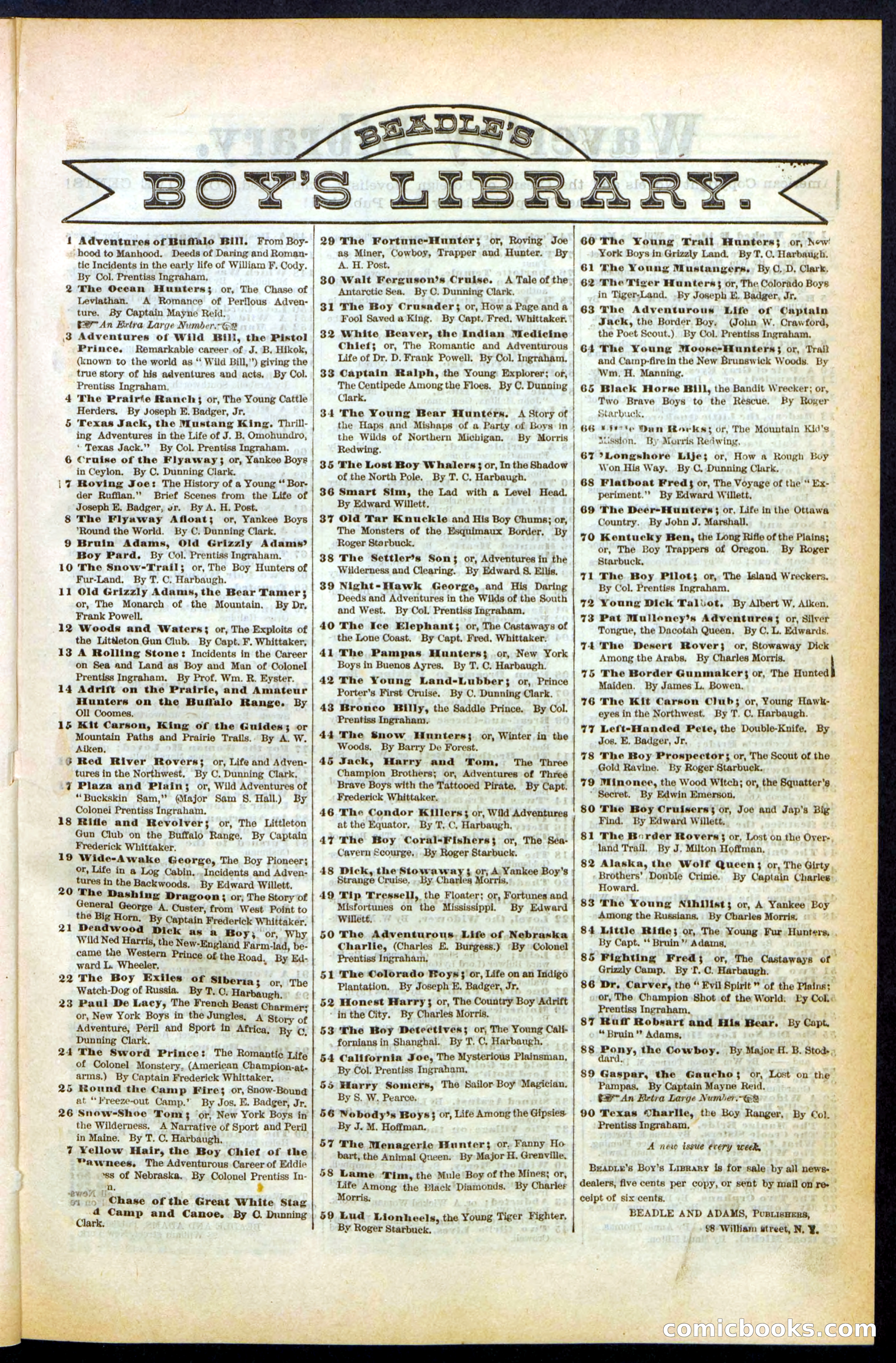 Beadle's Dime Library, Vol. XX, No. 251 — page 29 of 32