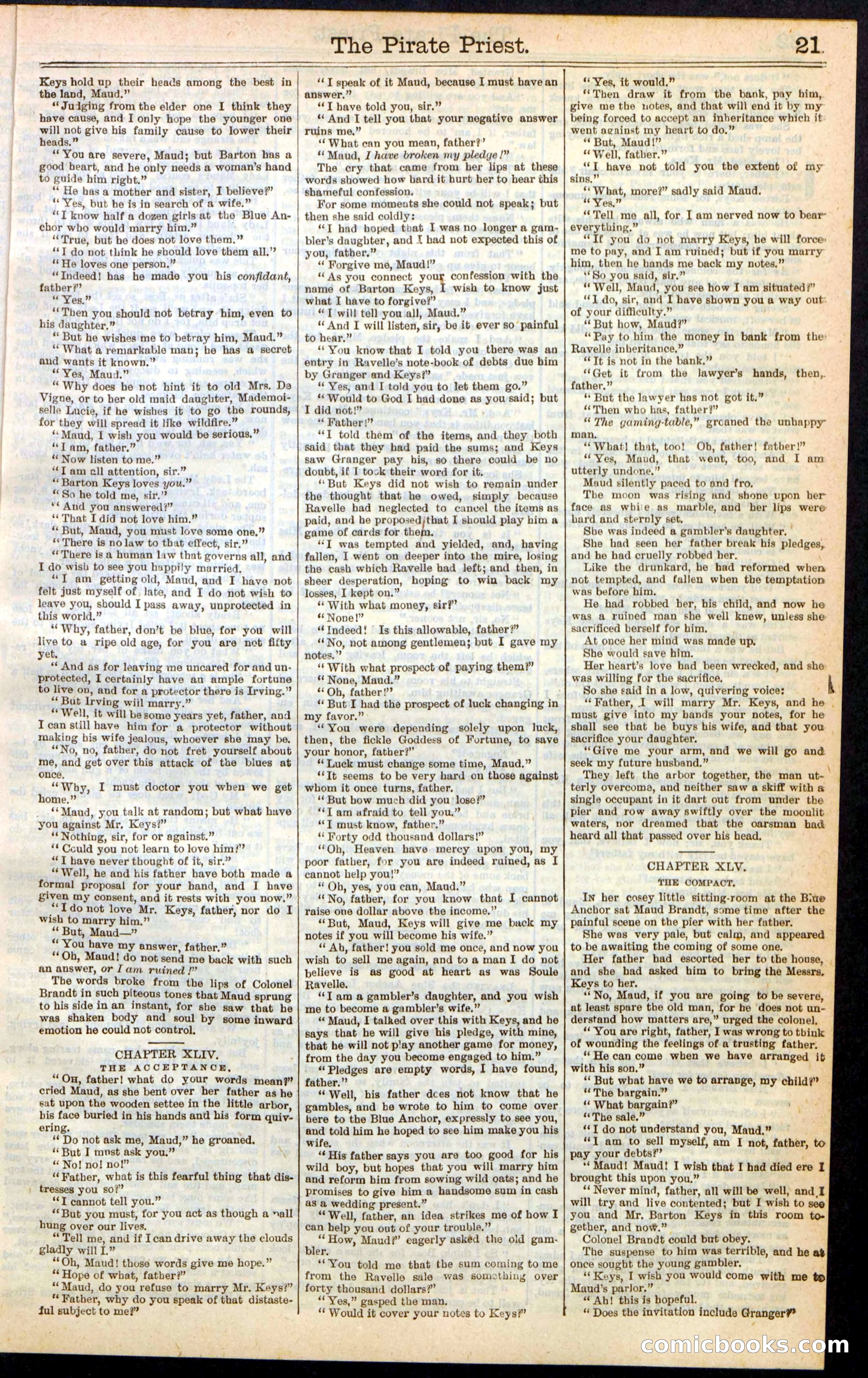 Beadle's New York Dime Library No. 255 — page 21 of 32
