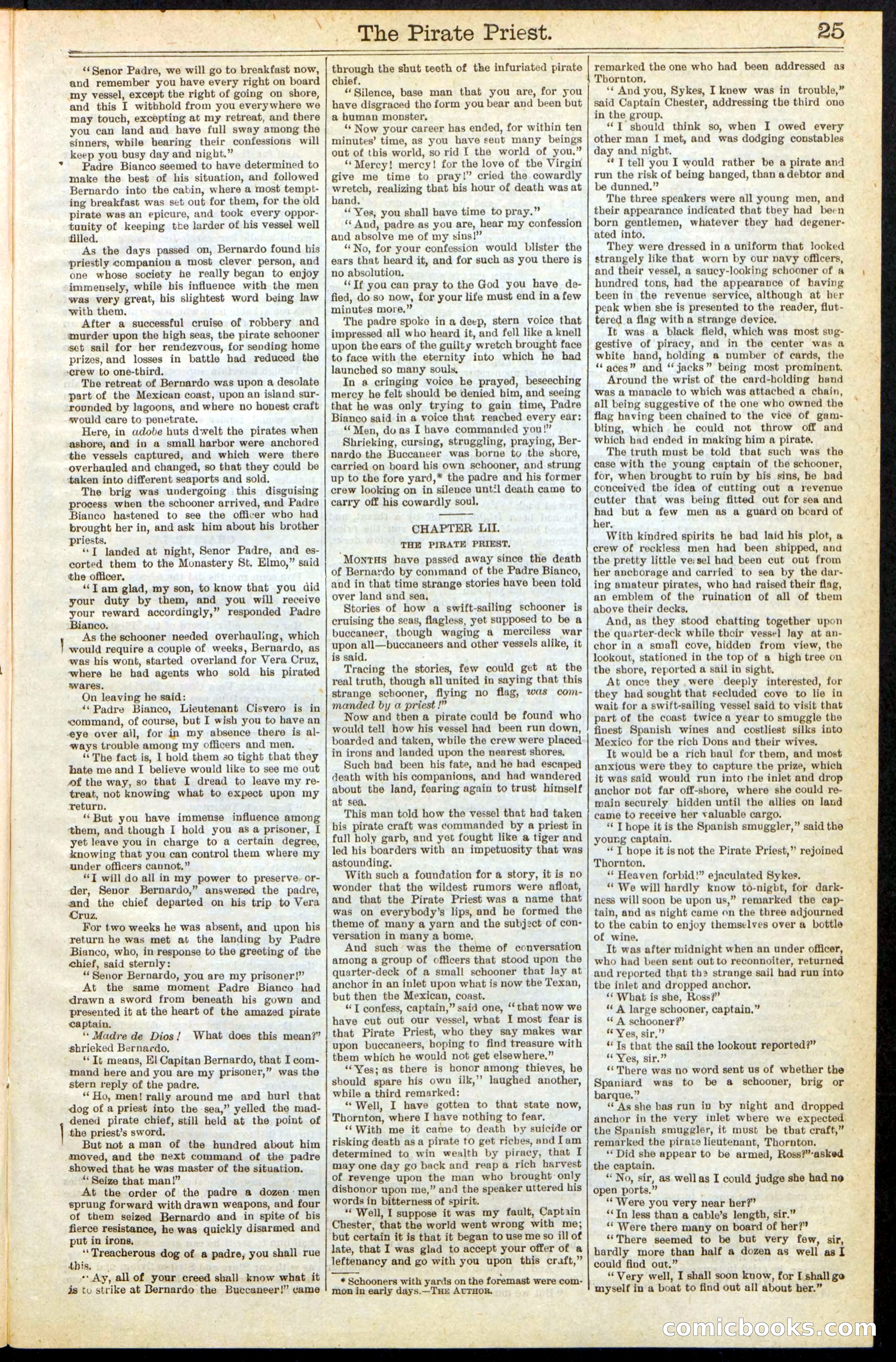 Beadle's New York Dime Library No. 255 — page 25 of 32