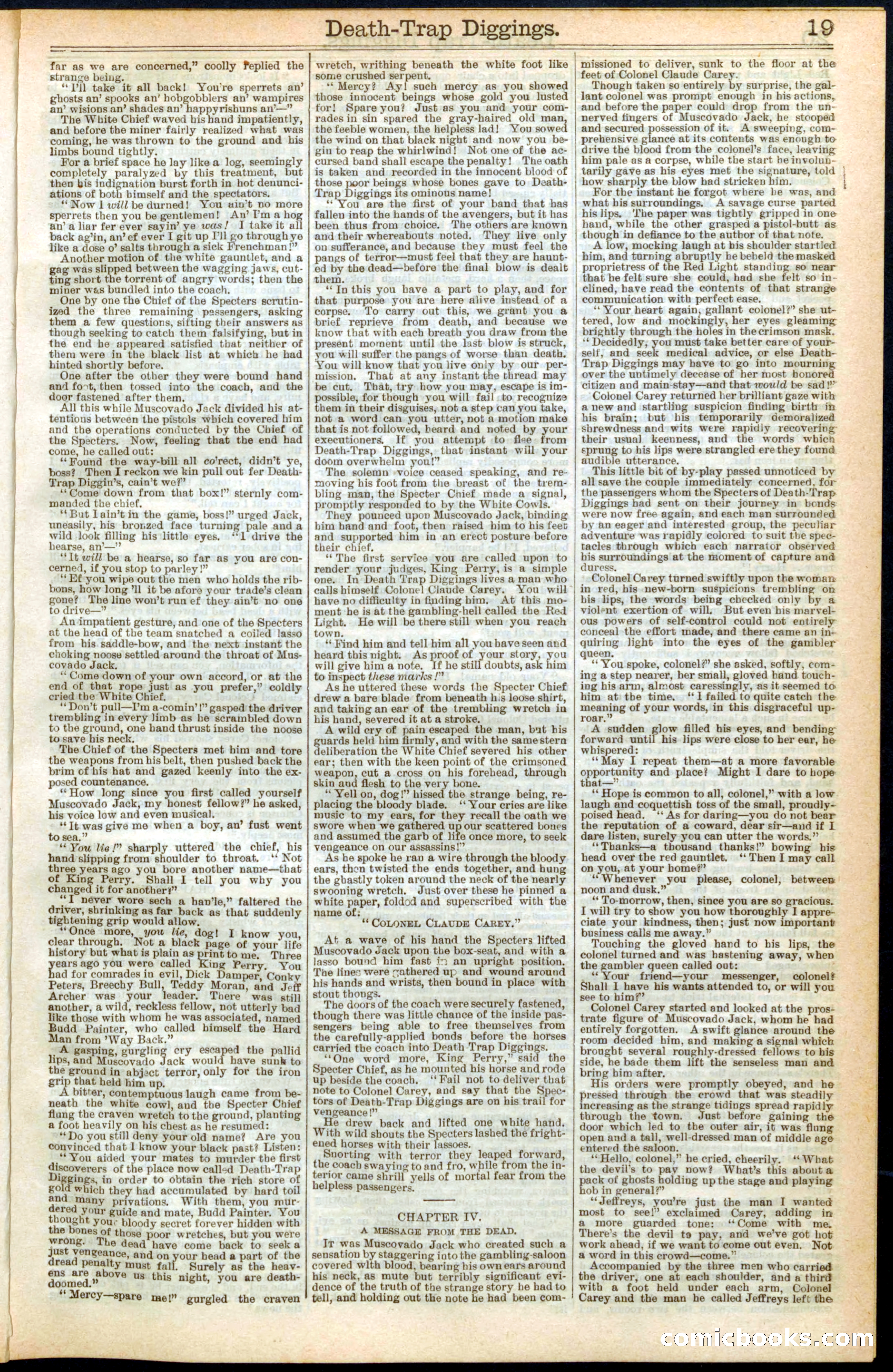 Beadle's New York Dime Library No. 257 — page 19 of 32