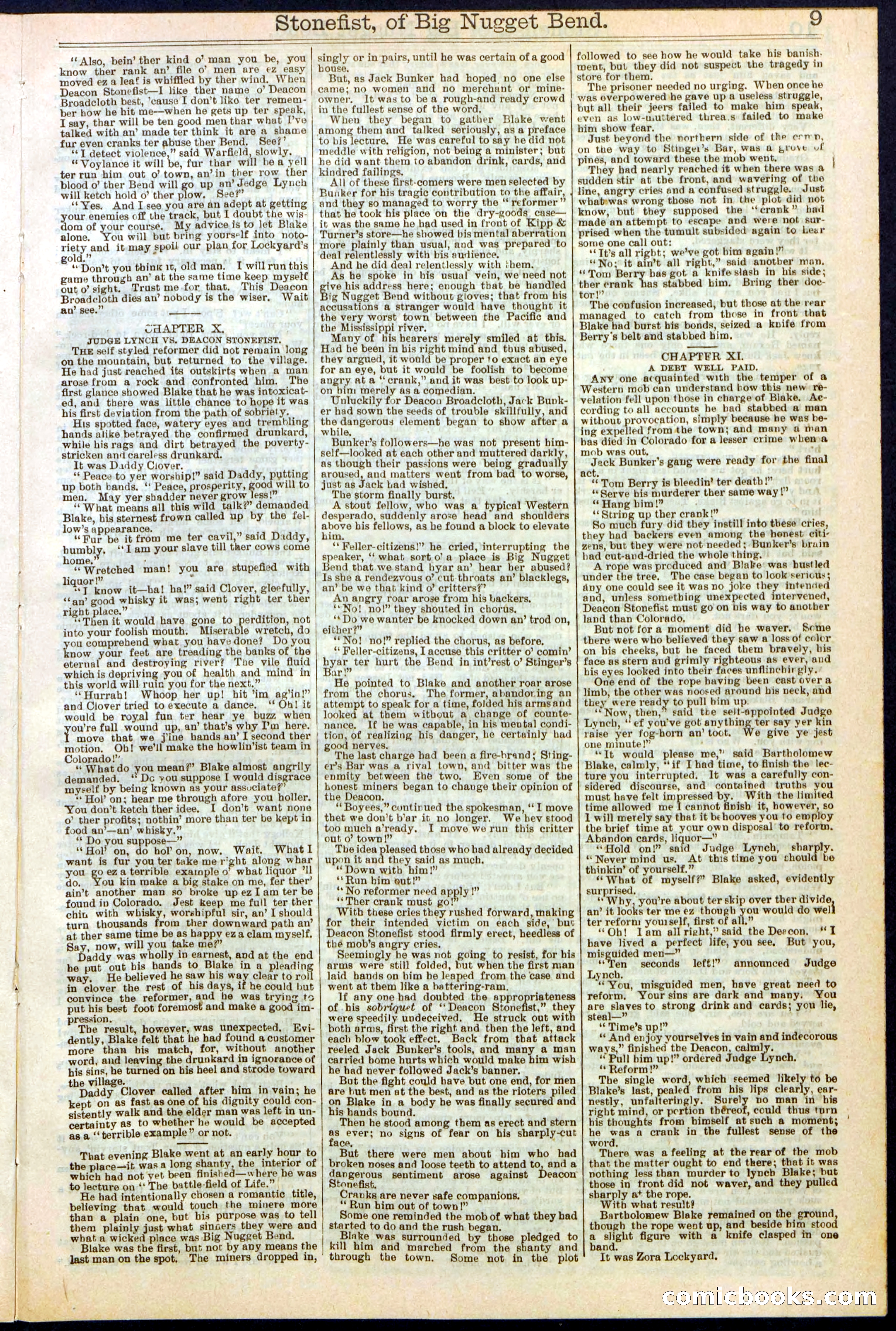 Beadle's New York Dime Library No. 271 — page 9 of 32