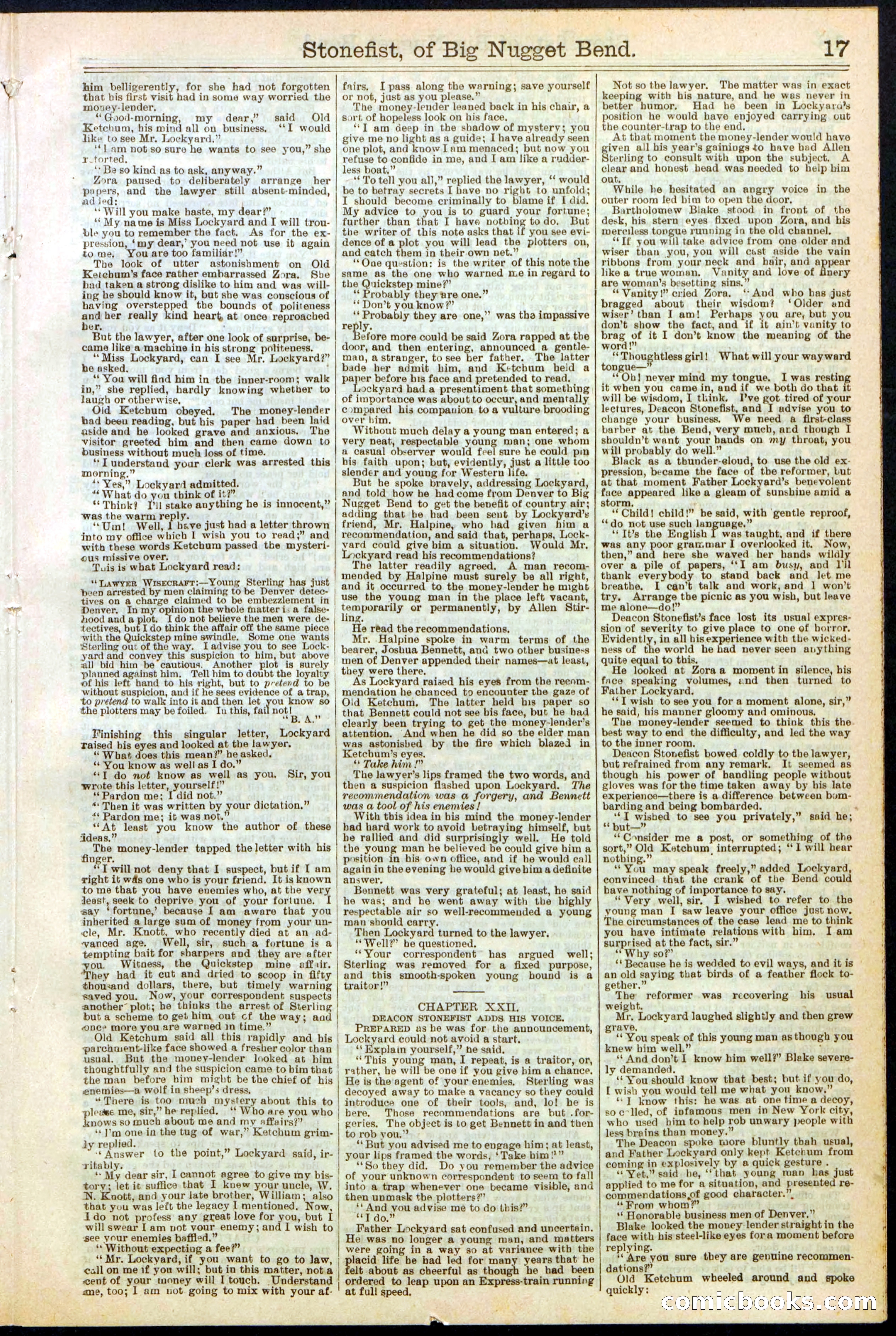 Beadle's New York Dime Library No. 271 — page 17 of 32