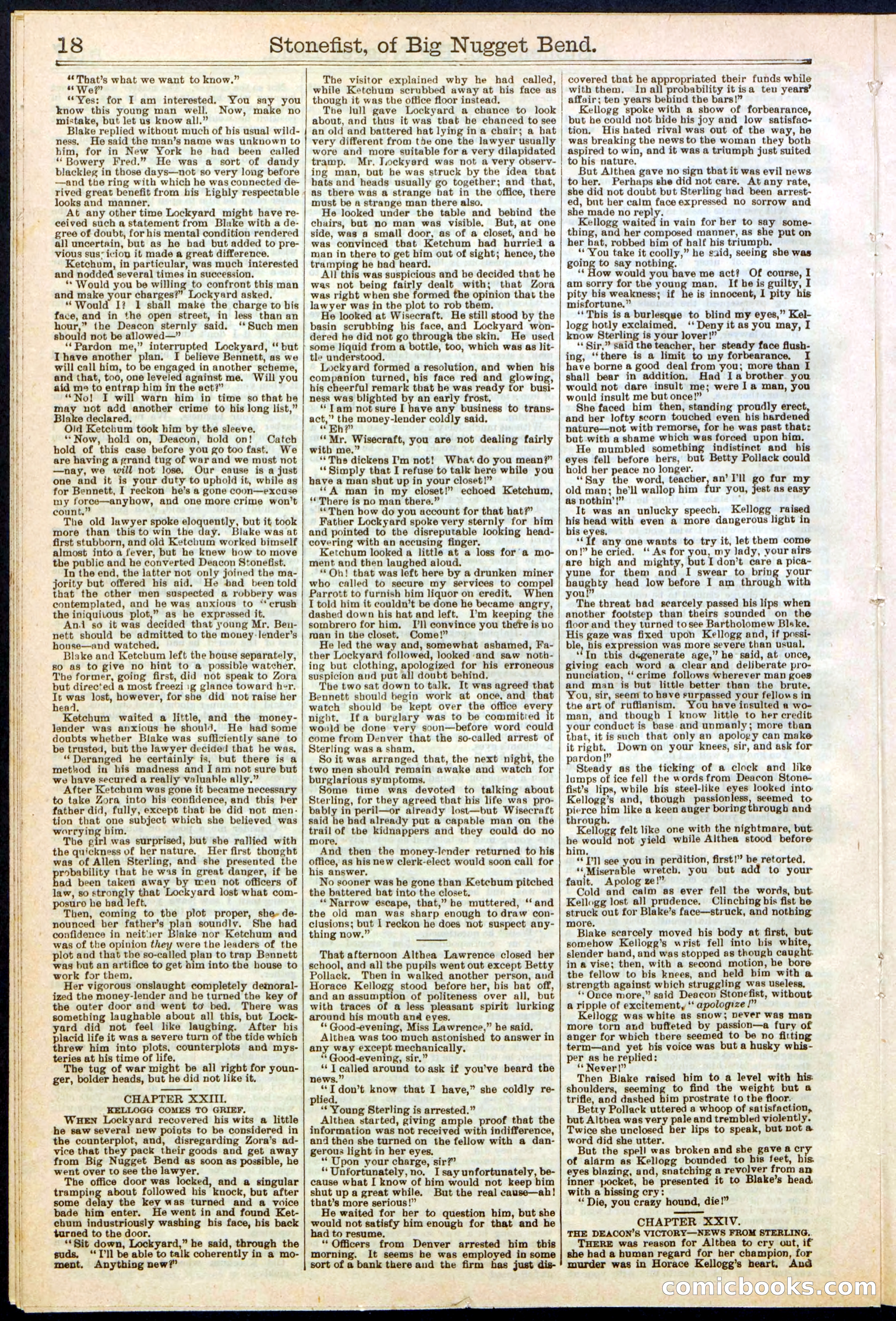 Beadle's New York Dime Library No. 271 — page 18 of 32
