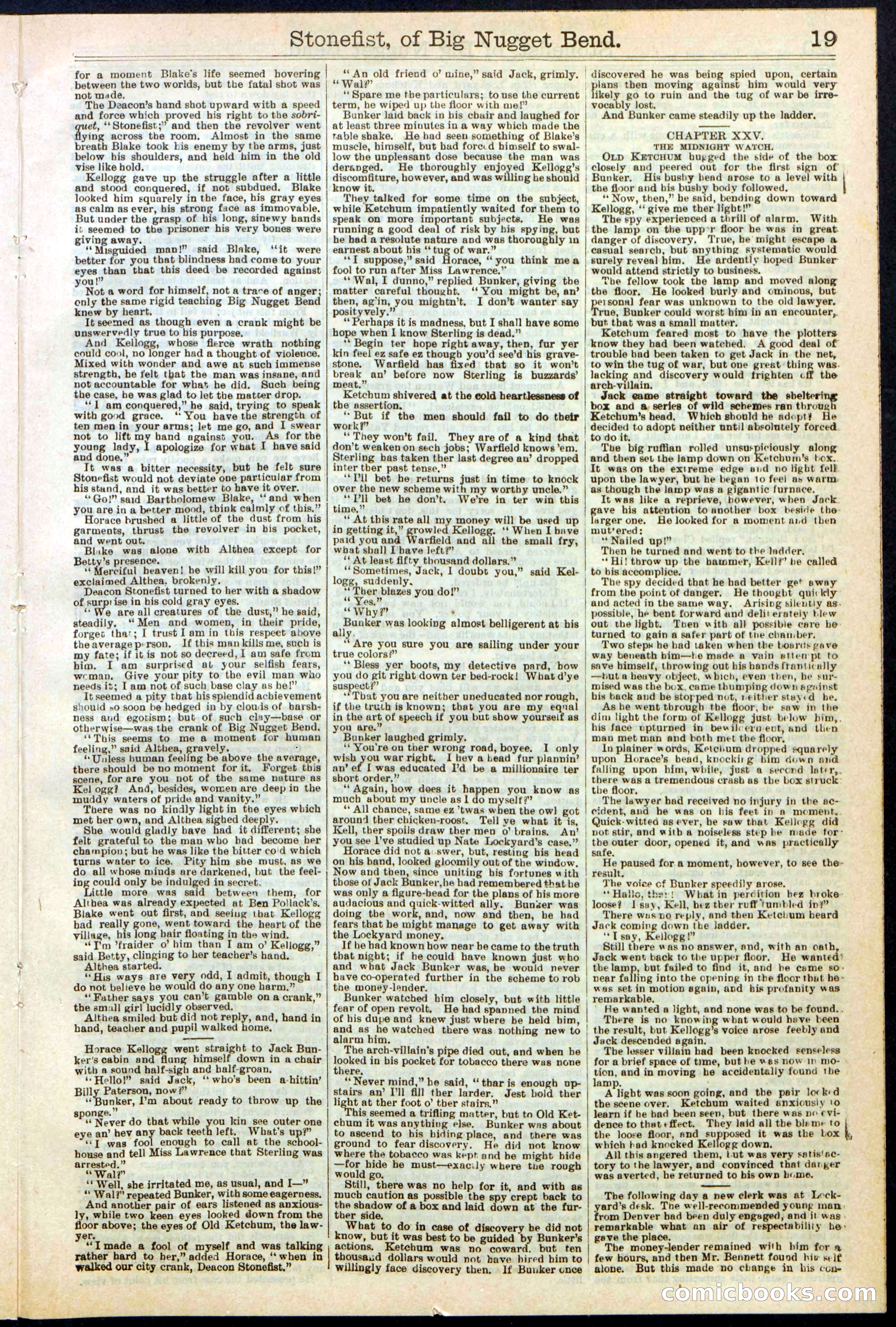 Beadle's New York Dime Library No. 271 — page 19 of 32