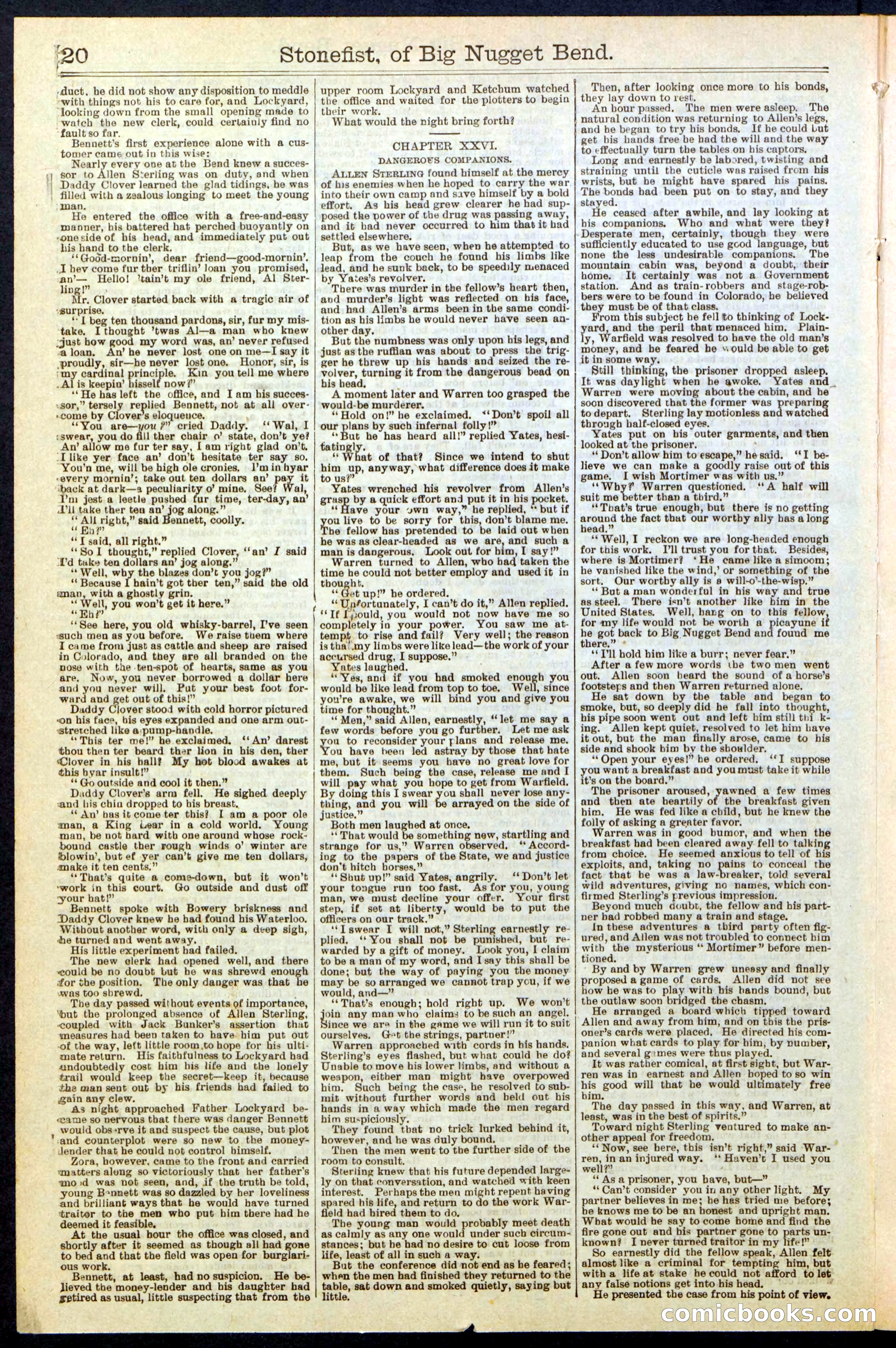 Beadle's New York Dime Library No. 271 — page 20 of 32