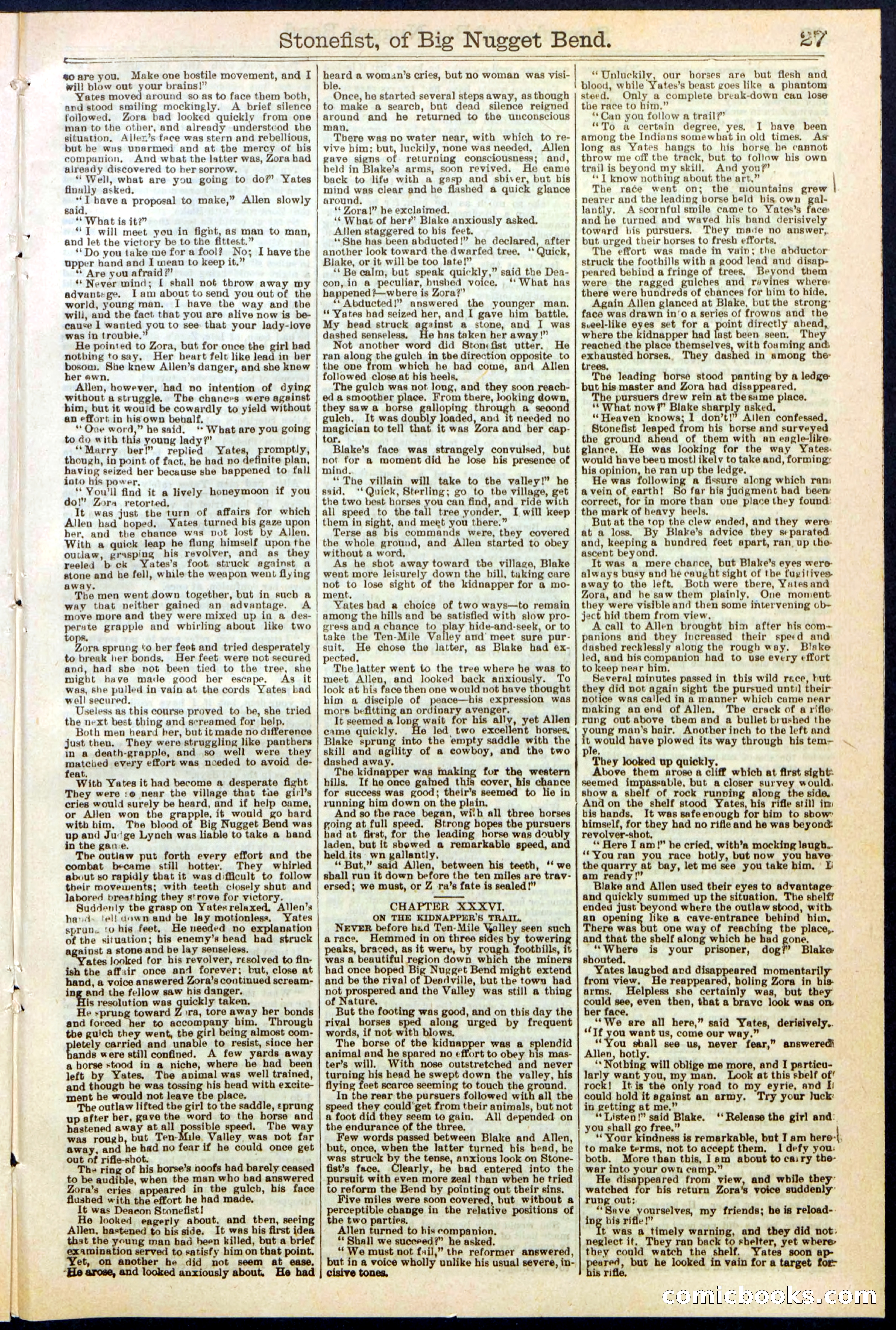 Beadle's New York Dime Library No. 271 — page 27 of 32