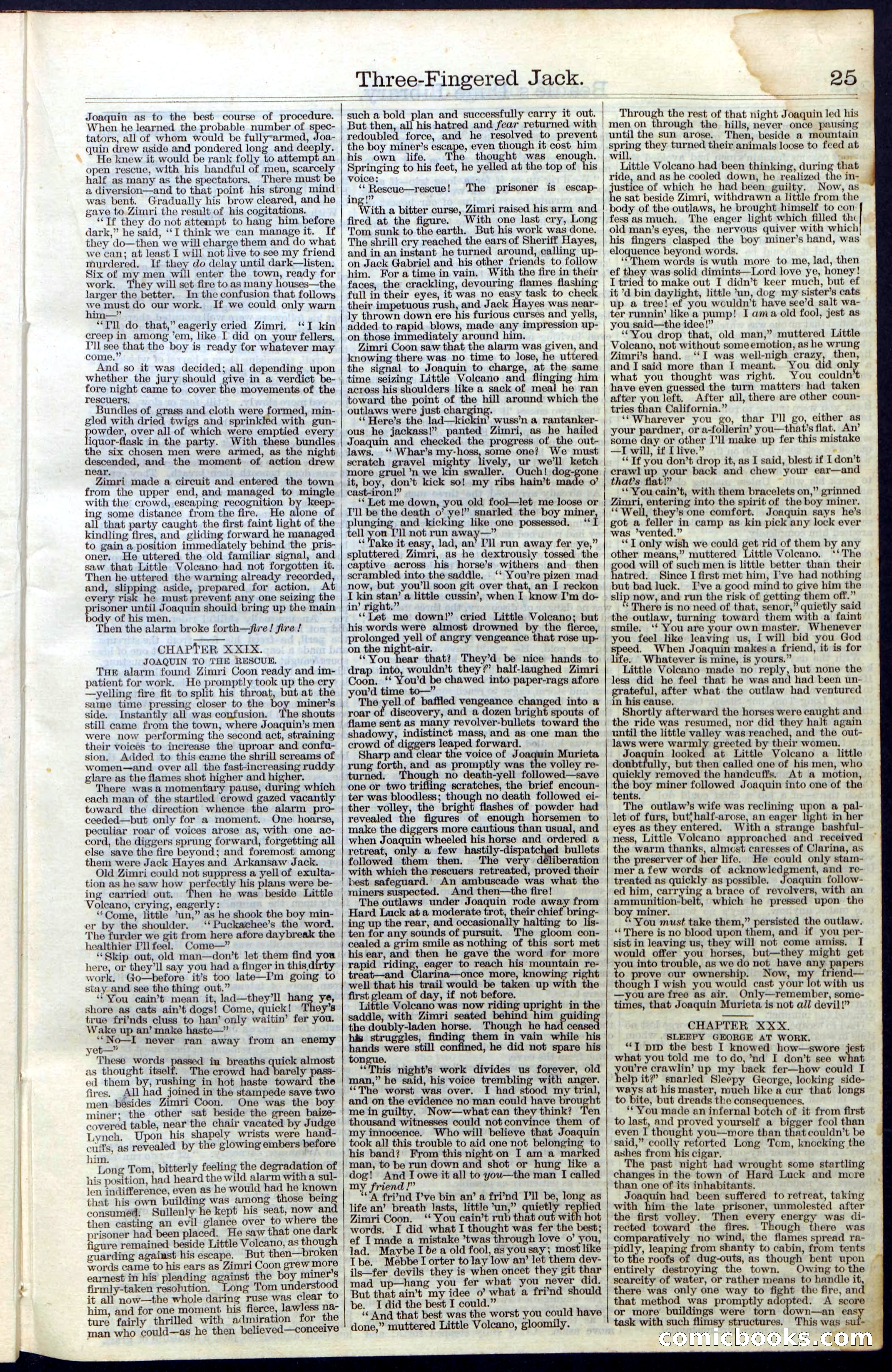 Beadle's New York Dime Library No. 28 — page 25 of 32