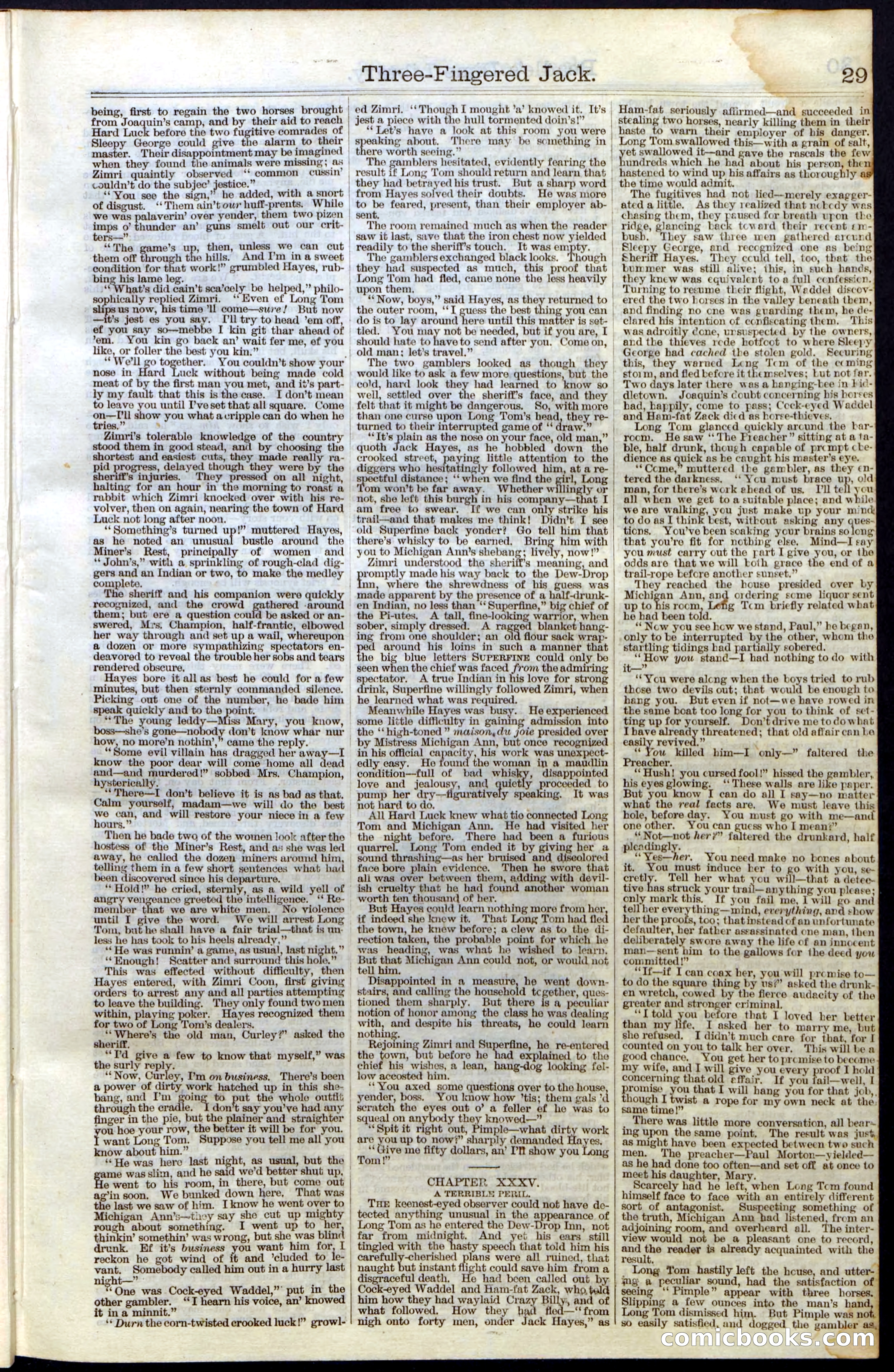 Beadle's New York Dime Library No. 28 — page 29 of 32