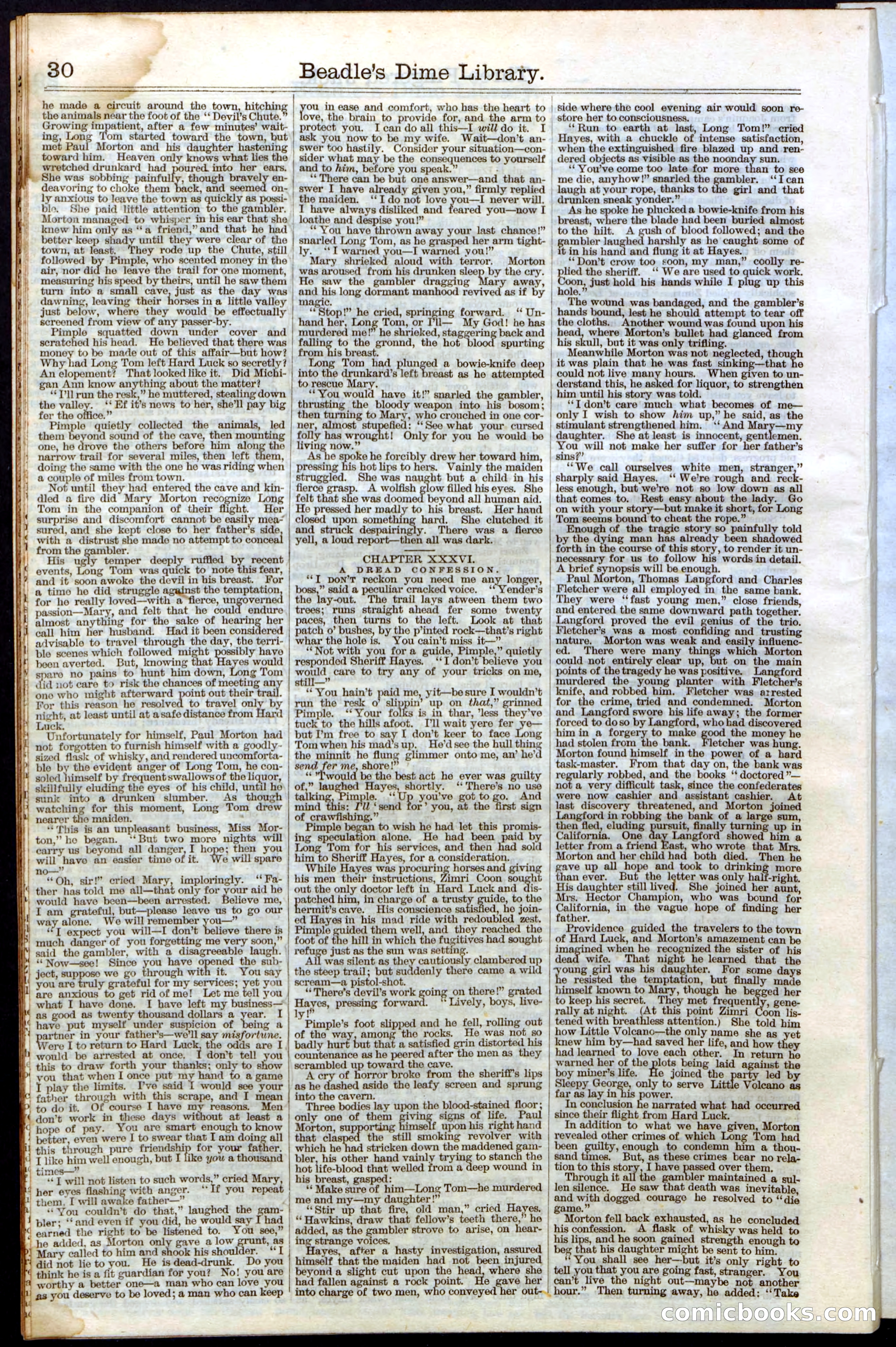 Beadle's New York Dime Library No. 28 — page 30 of 32