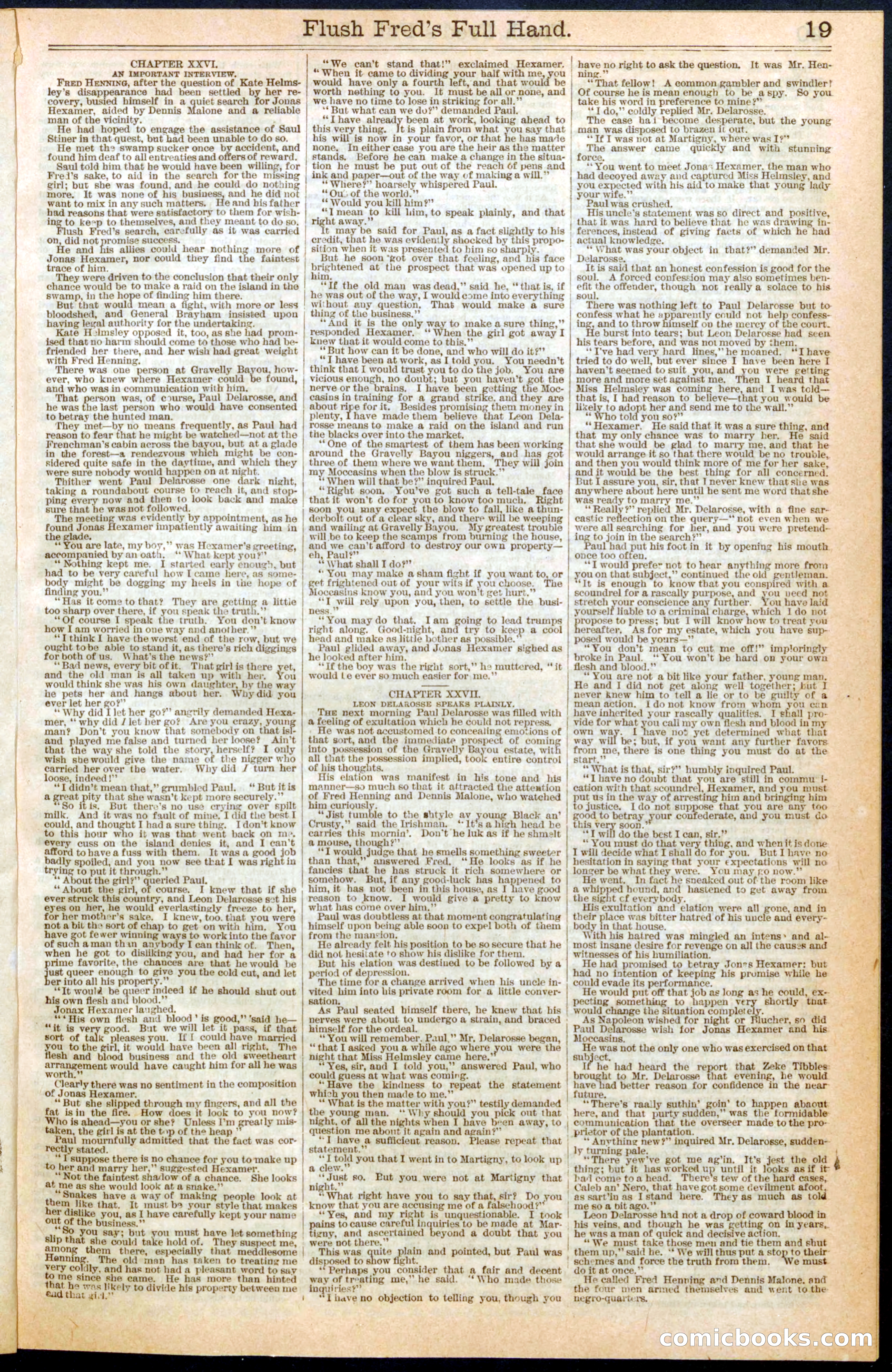 Beadle's New York Dime Library No. 289 — page 19 of 24