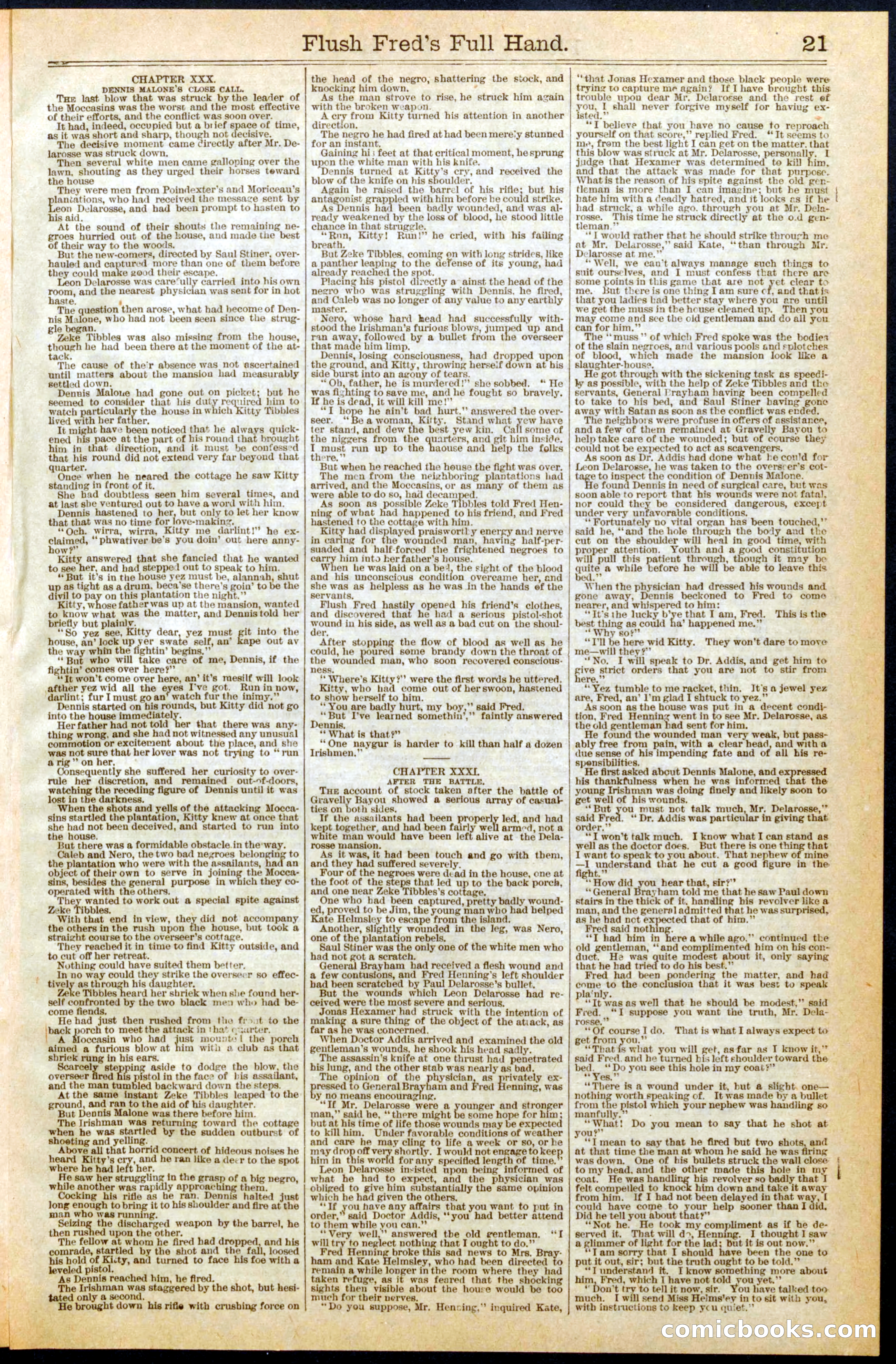 Beadle's New York Dime Library No. 289 — page 21 of 24