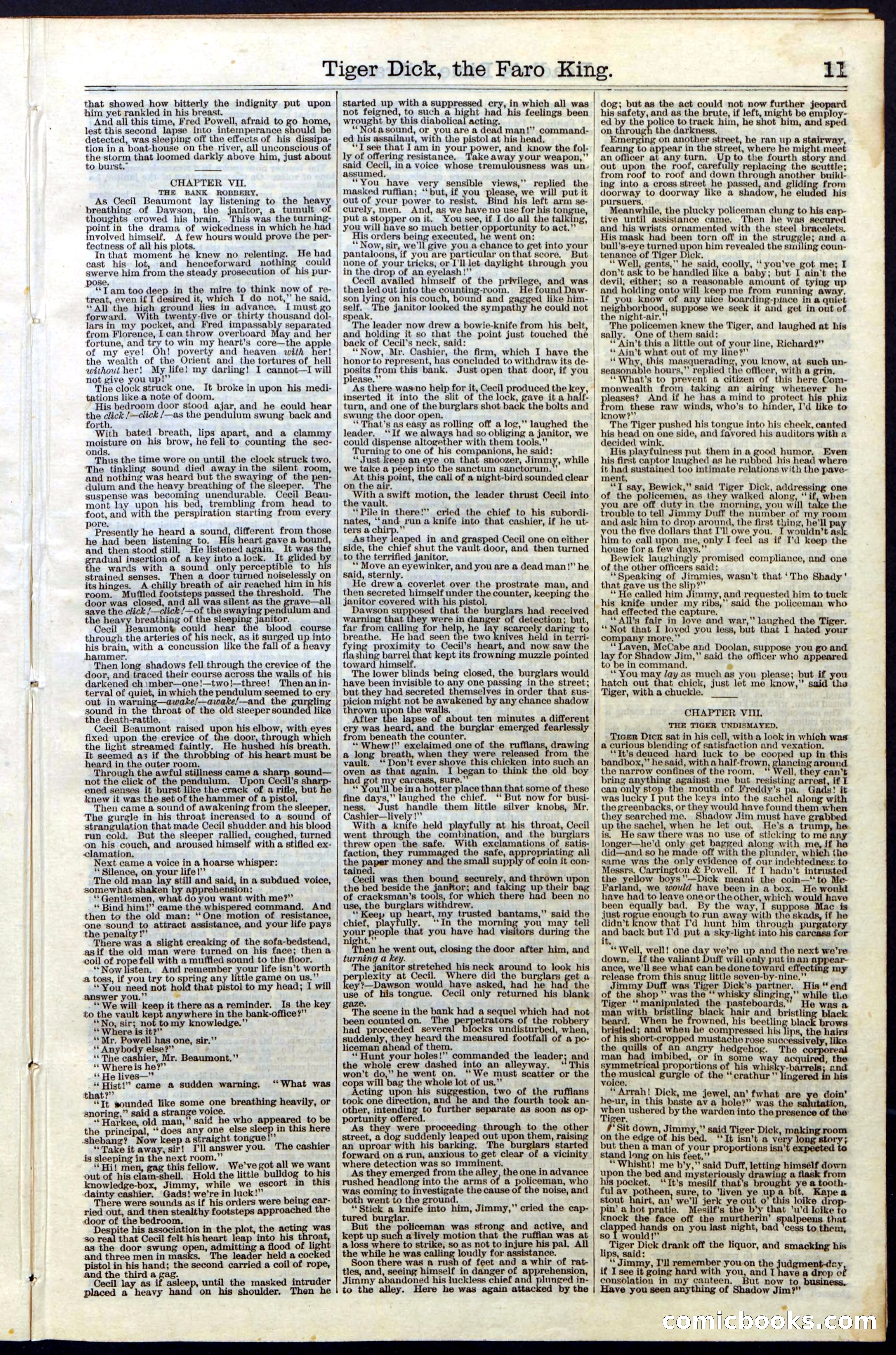 Beadle's Dime Library, Vol. III, No. 29 — page 11 of 32