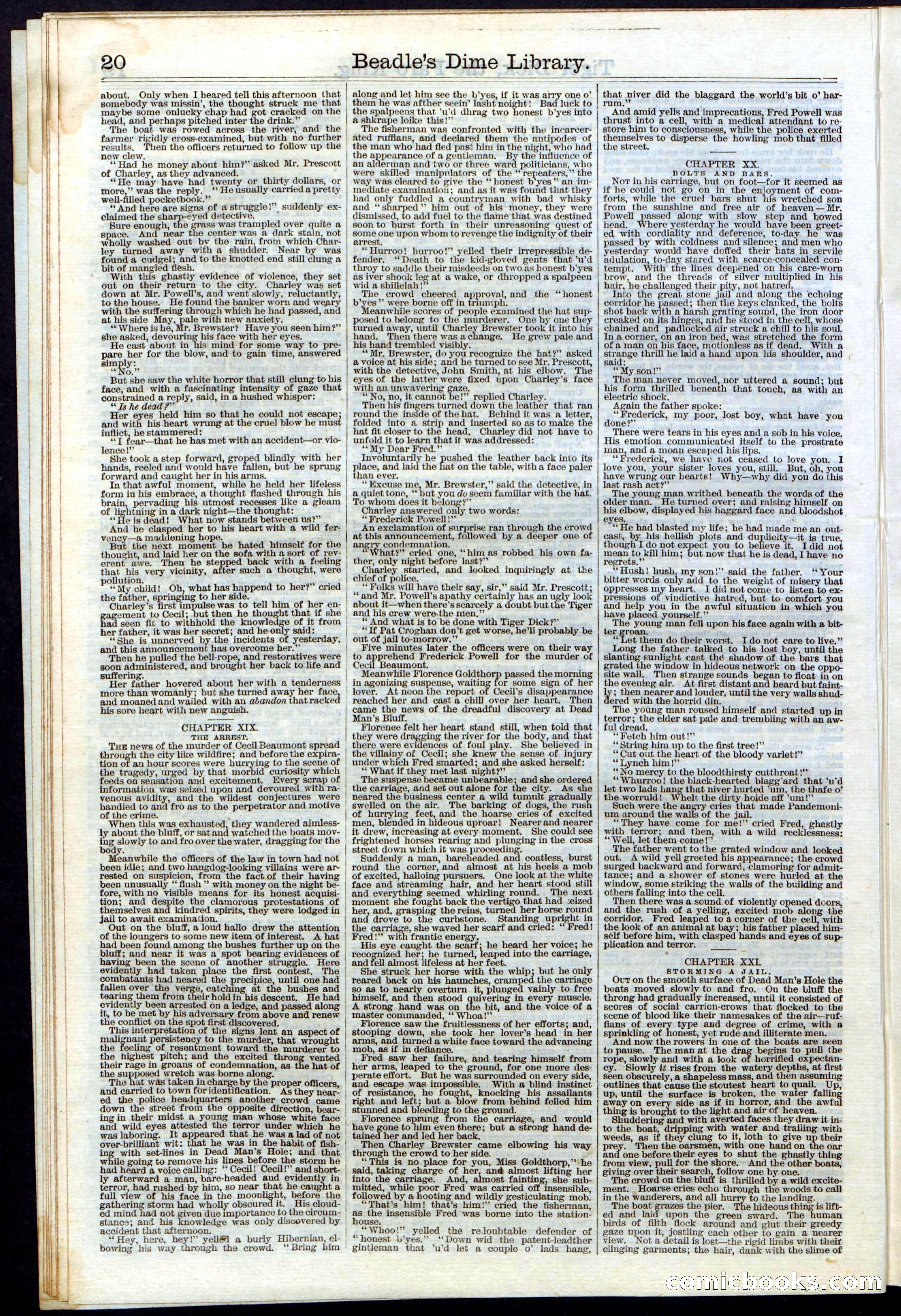 Beadle's Dime Library, Vol. III, No. 29 — page 20 of 32