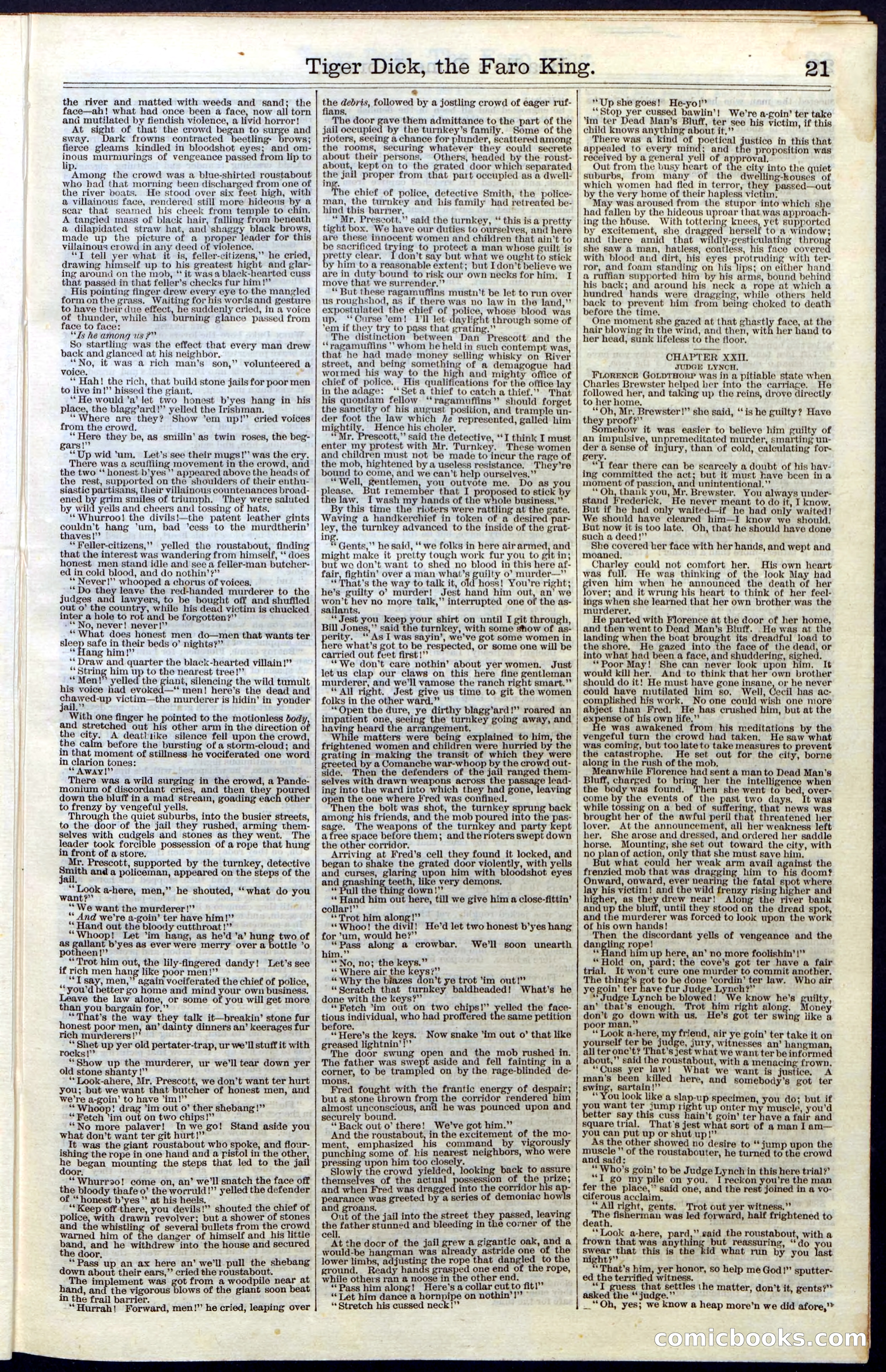 Beadle's Dime Library, Vol. III, No. 29 — page 21 of 32