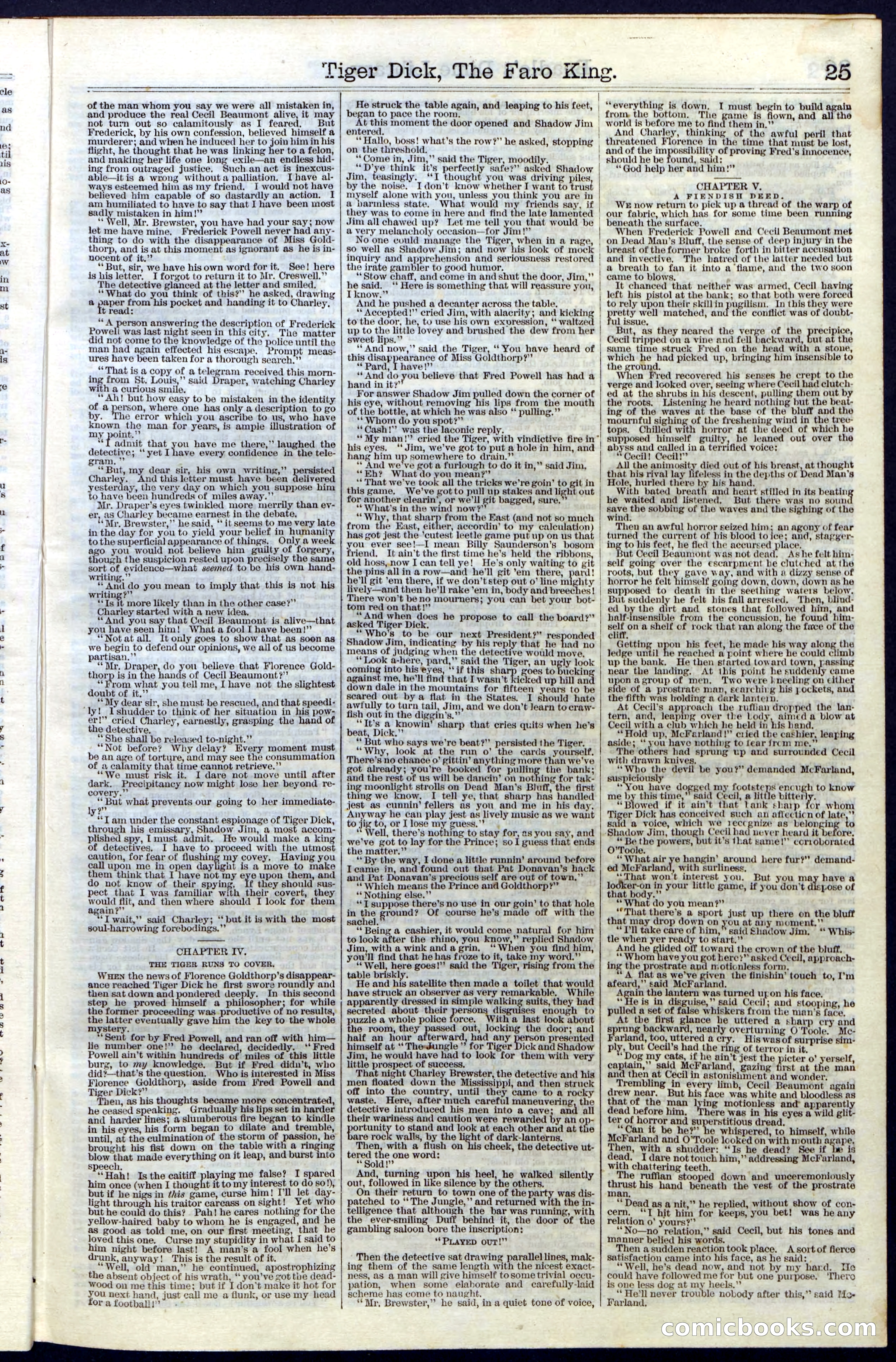 Beadle's Dime Library, Vol. III, No. 29 — page 25 of 32