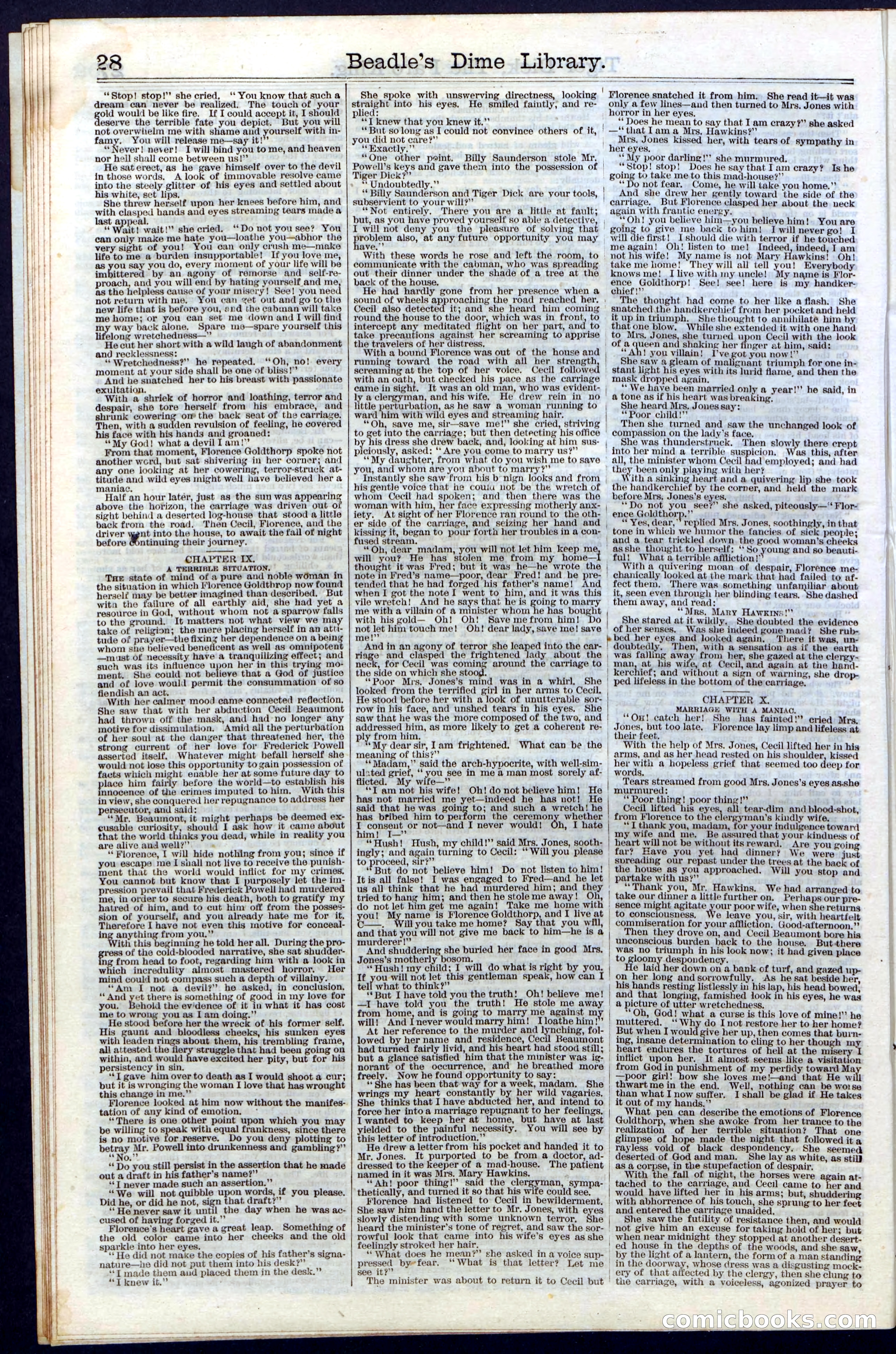 Beadle's Dime Library, Vol. III, No. 29 — page 28 of 32