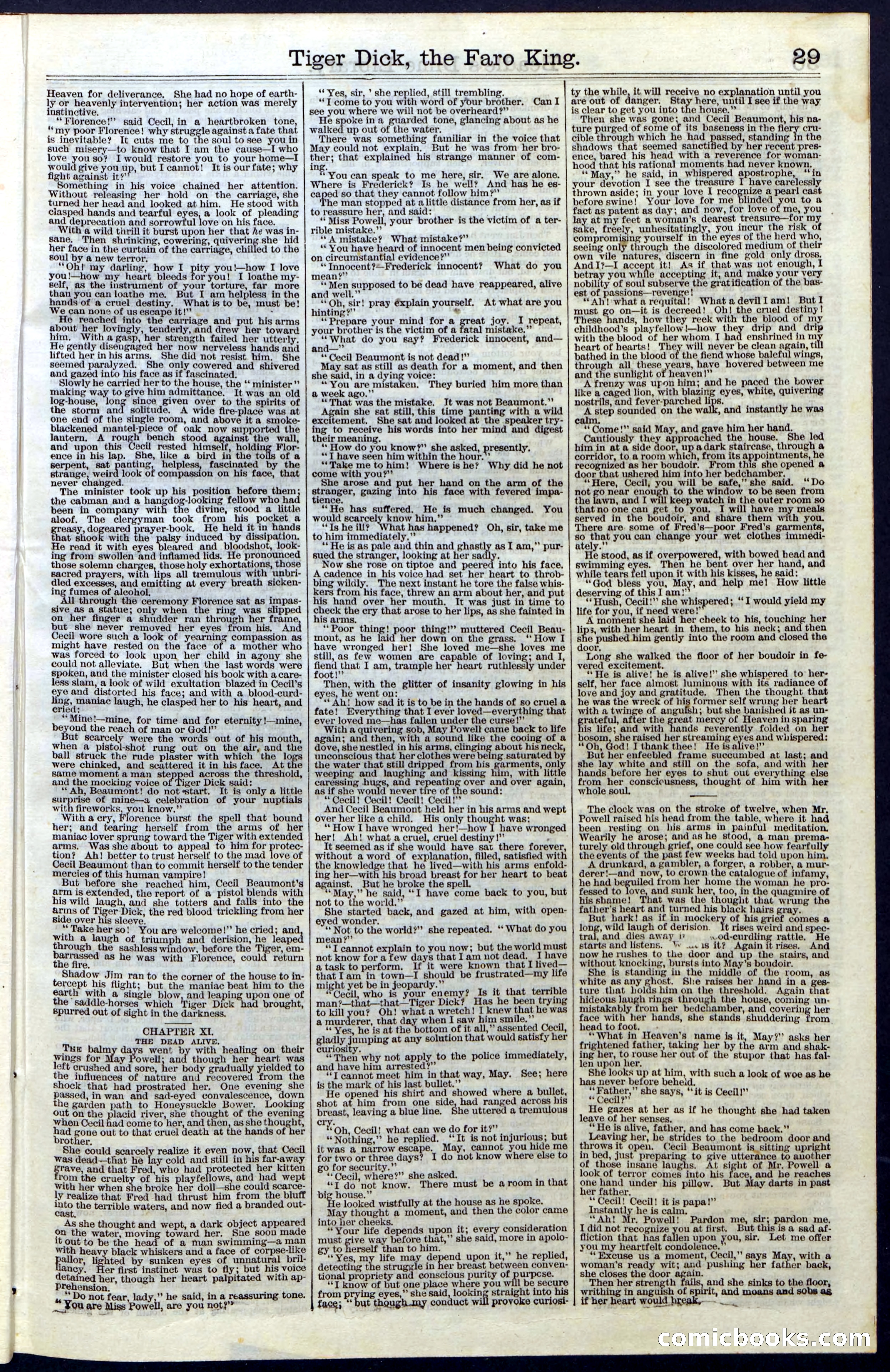 Beadle's Dime Library, Vol. III, No. 29 — page 29 of 32