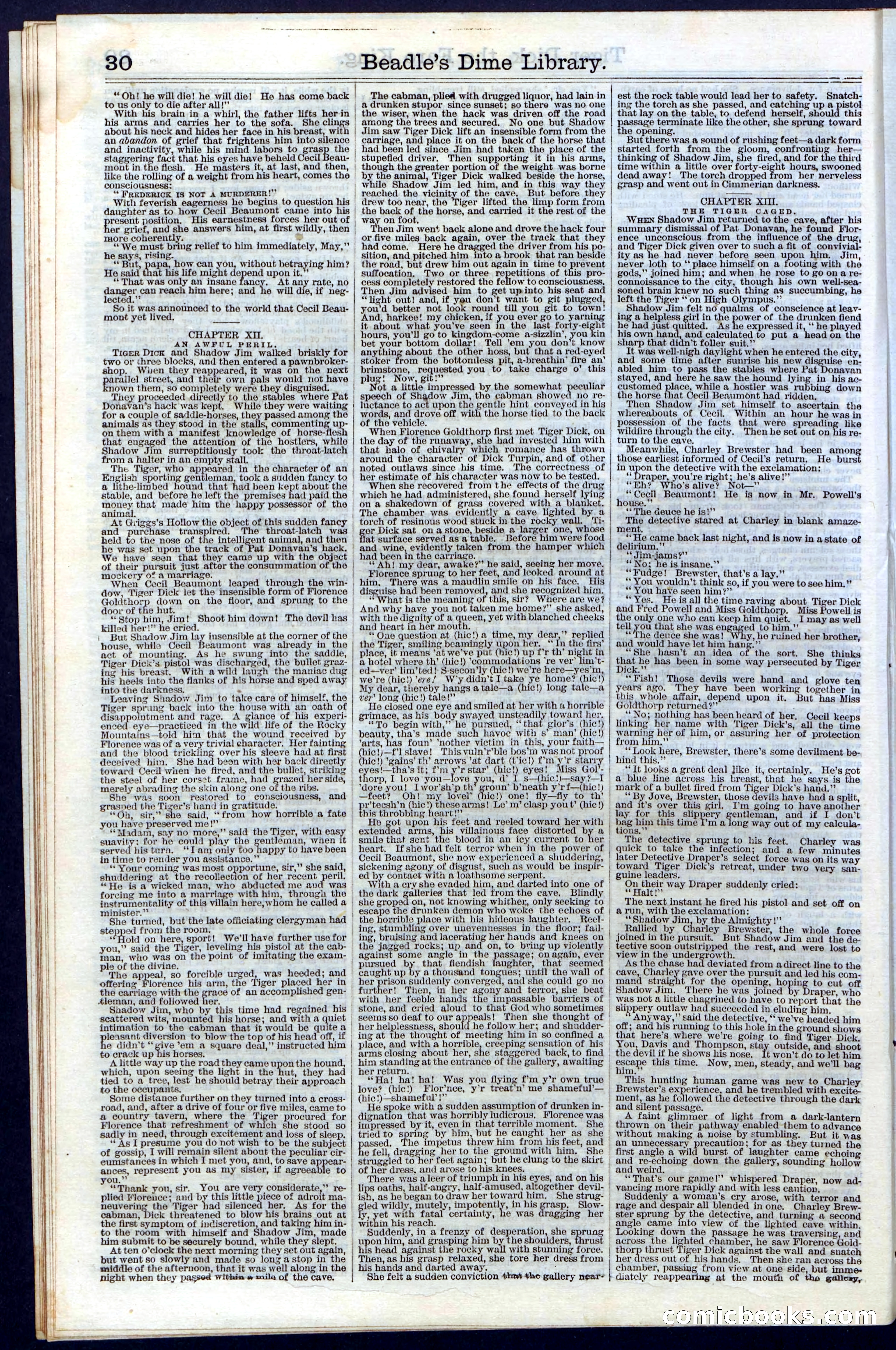 Beadle's Dime Library, Vol. III, No. 29 — page 30 of 32