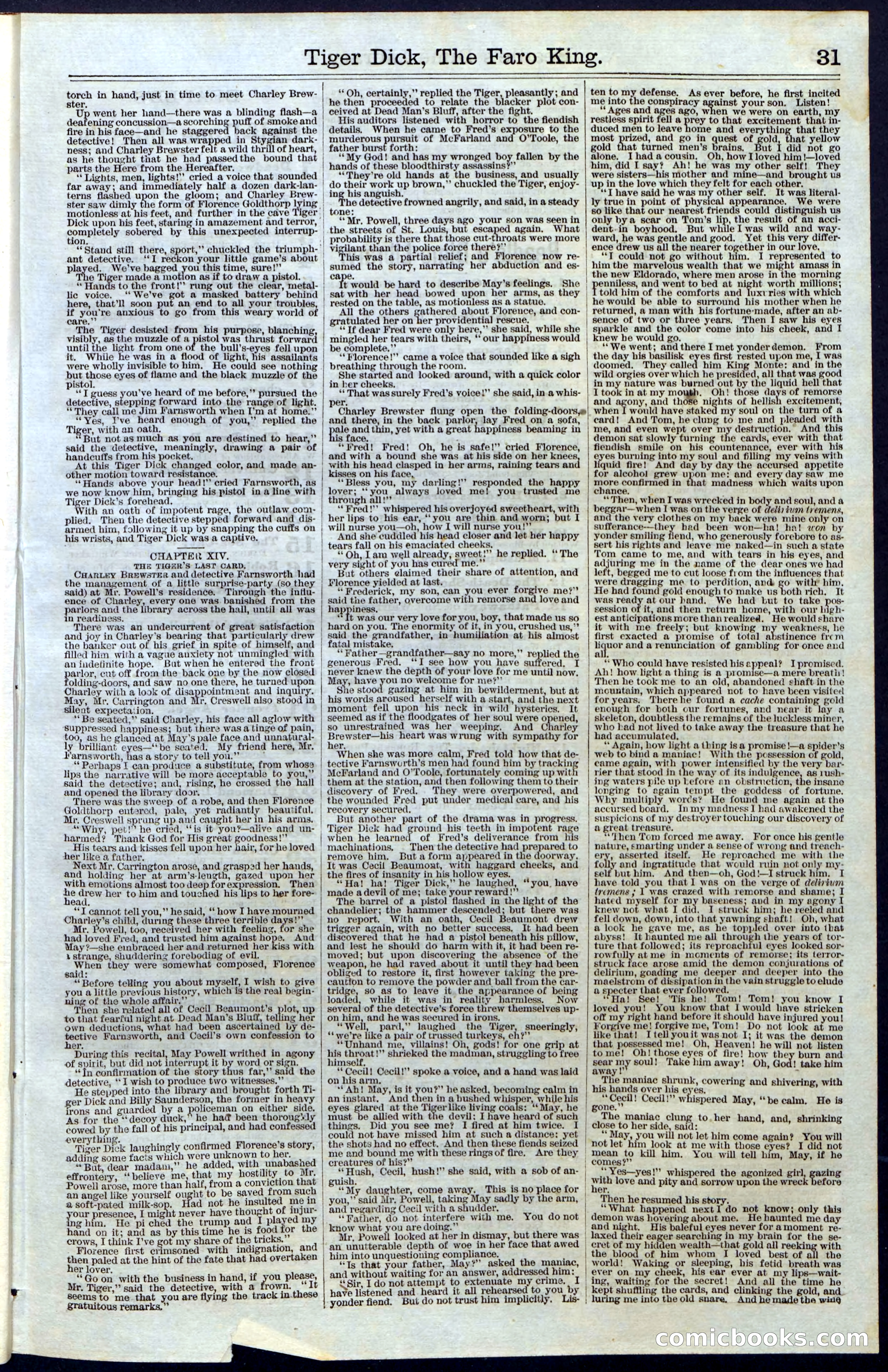 Beadle's Dime Library, Vol. III, No. 29 — page 31 of 32